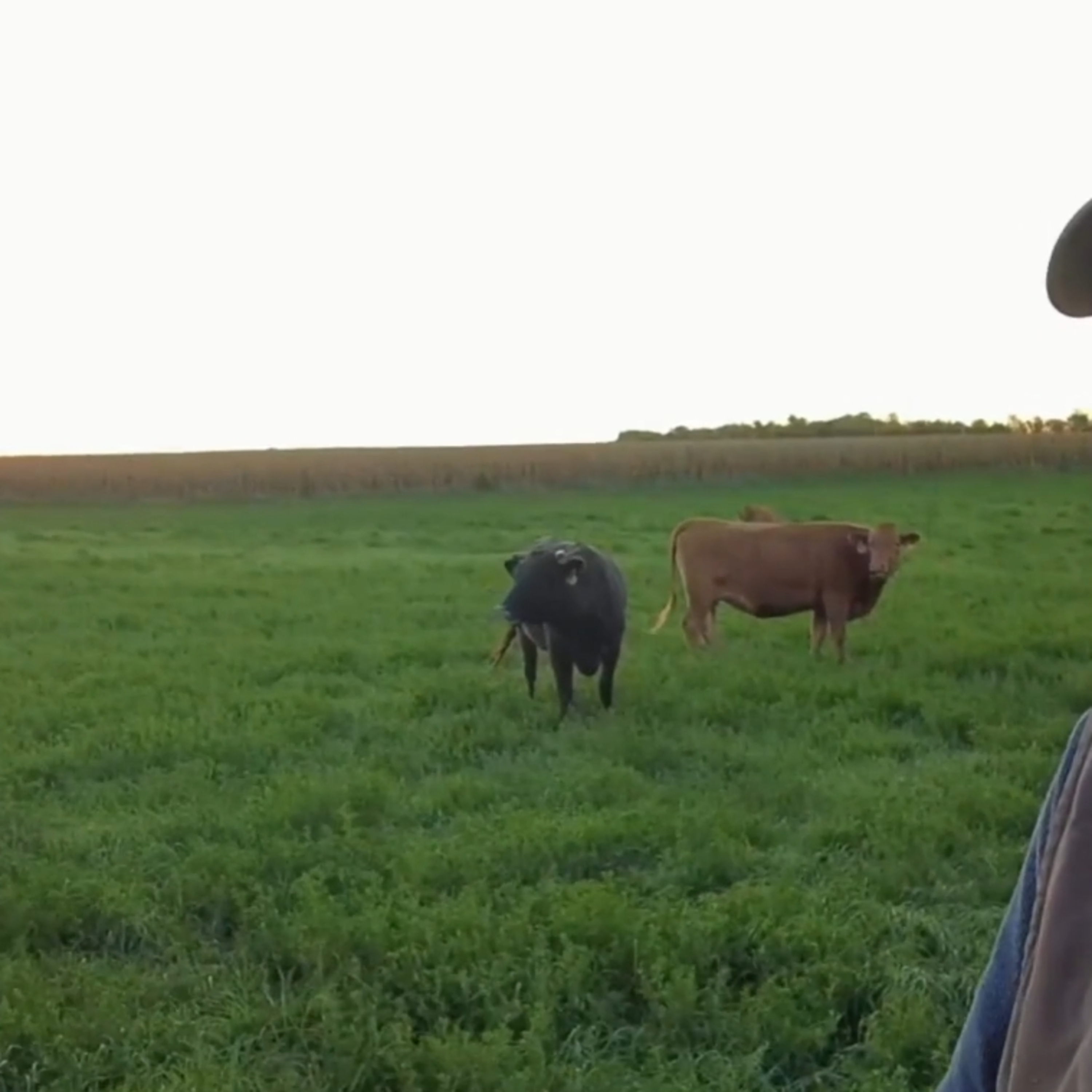 Rural Route Oct 29, 2026 Joe Schumacher needs to me made whole by the USDA.