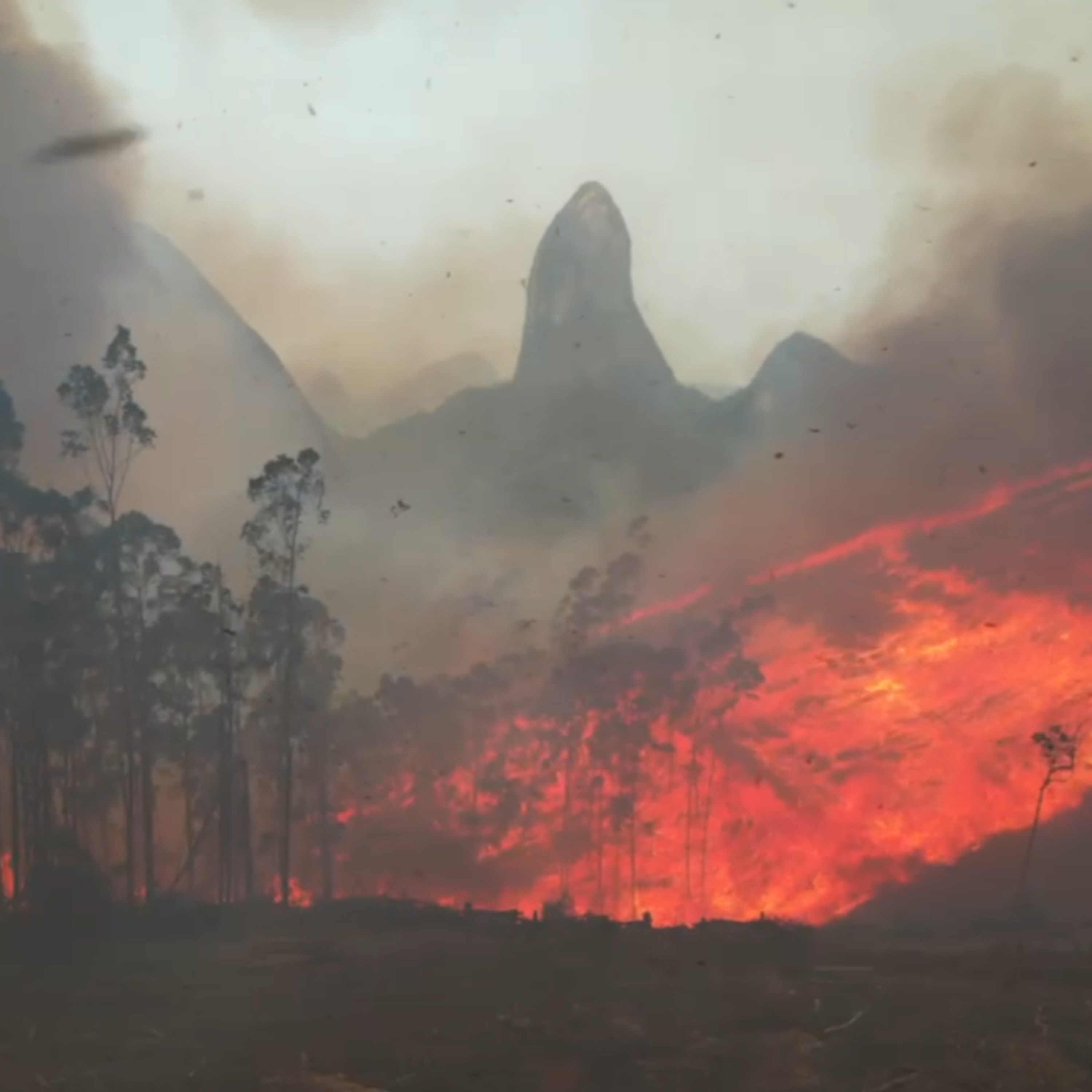 Em 12 dias, setembro já tem 55 incêndios em vegetação no ES episode artwork