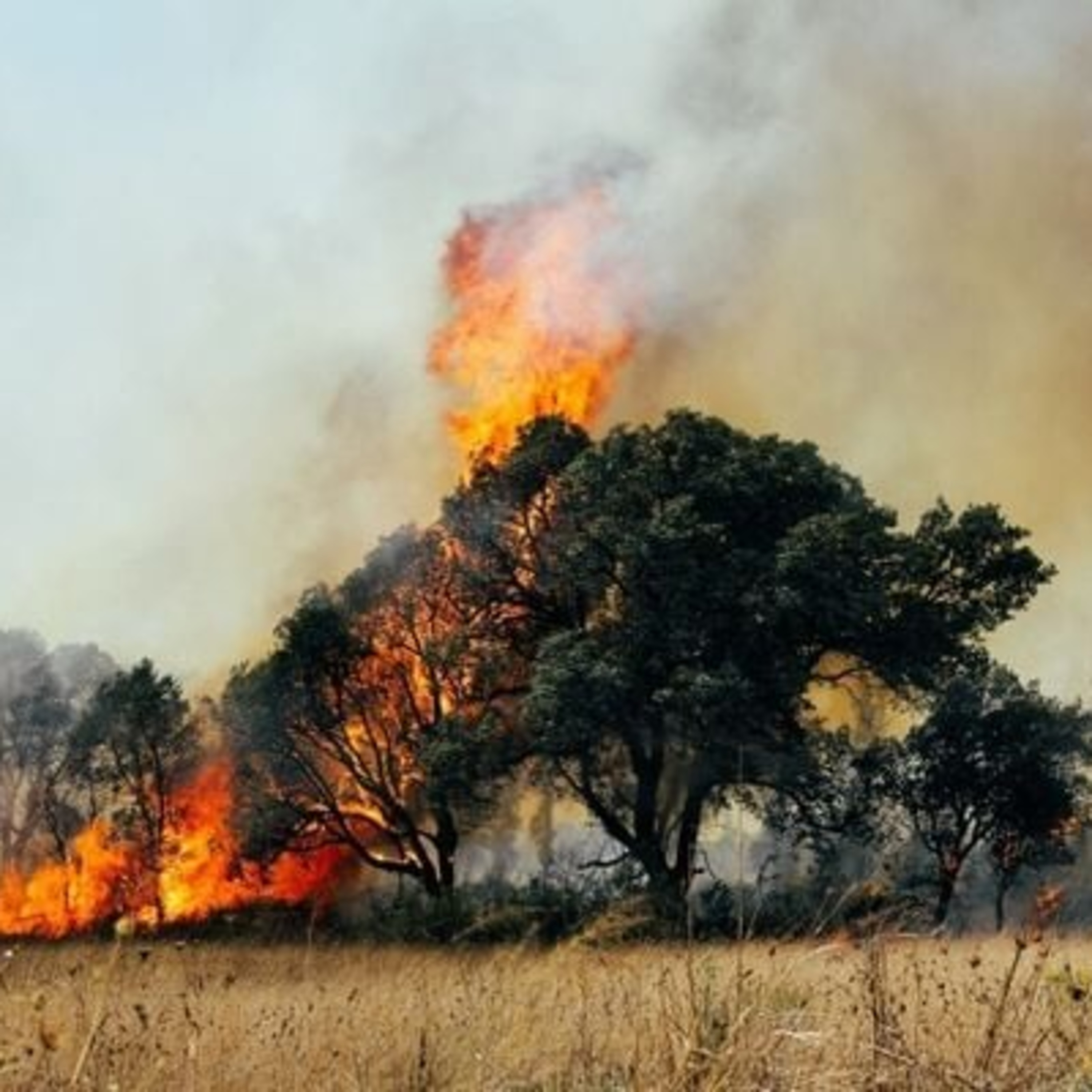 Ar seco, incêndios e poluição: entenda os impactos da qualidade do ar na saúde episode artwork