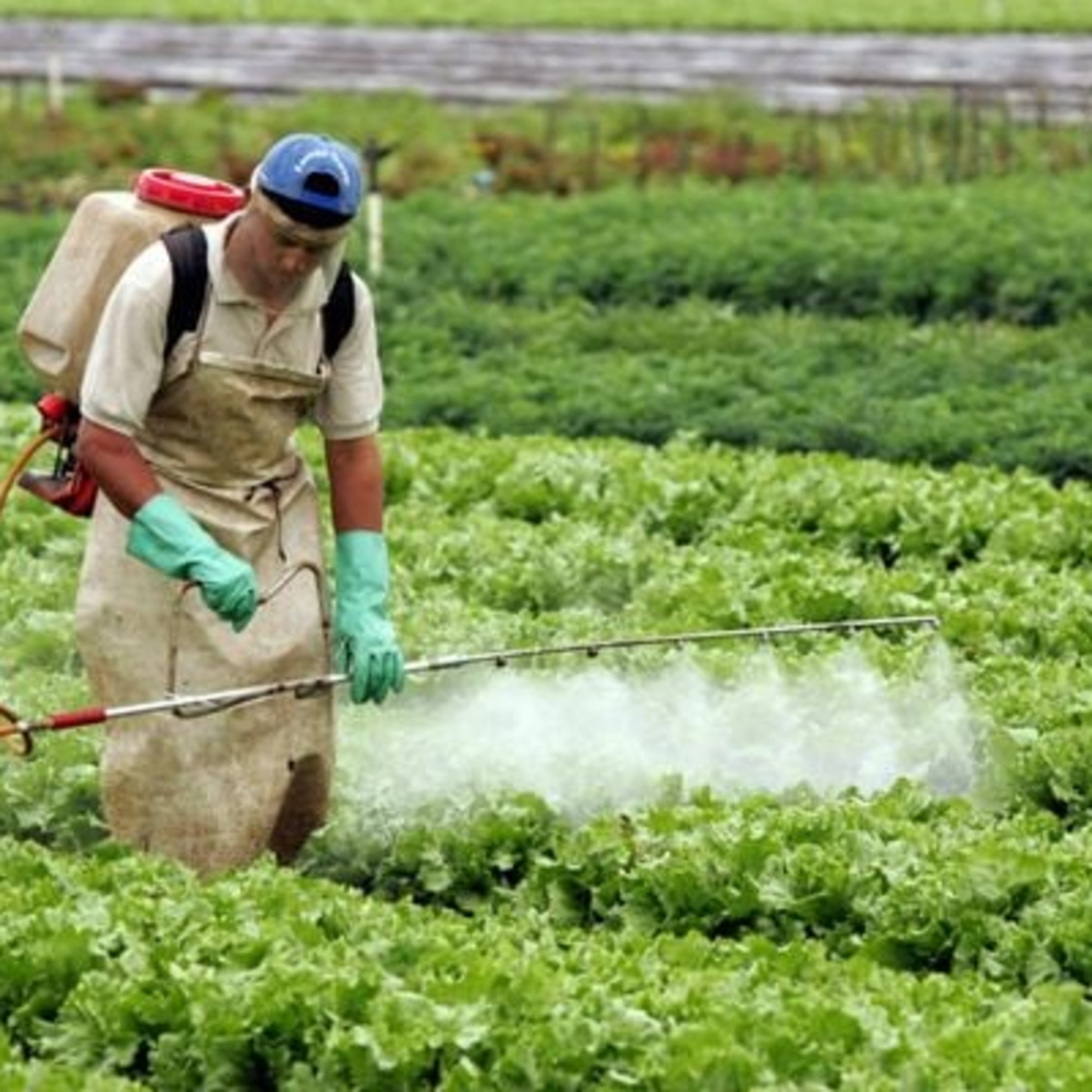 Pesquisa identifica presença de agrotóxicos em ultraprocessados episode artwork