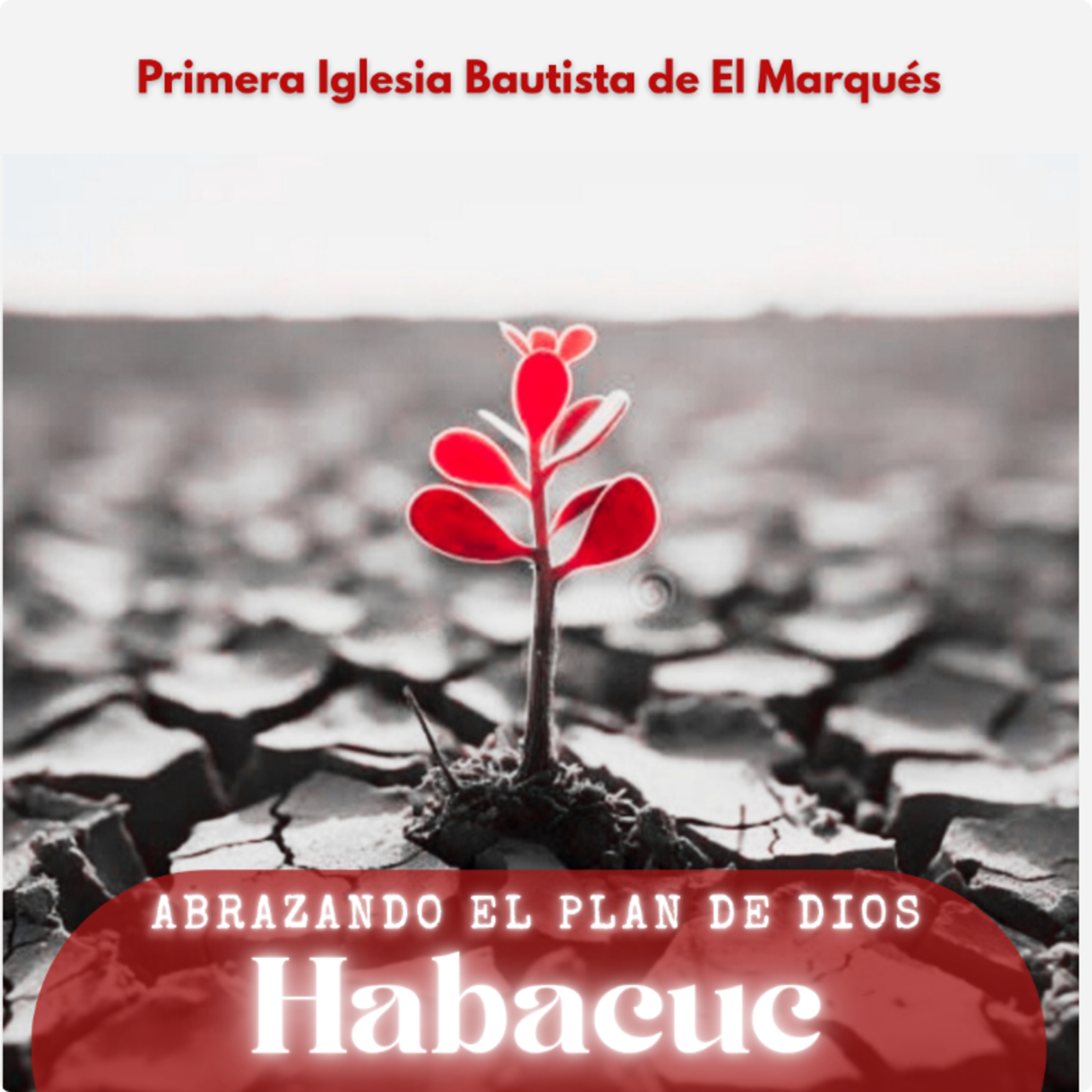SERIE. HABACUC - 1. Cuando las cosas no pasan como esperas, confía en la justicia de Dios. episode artwork