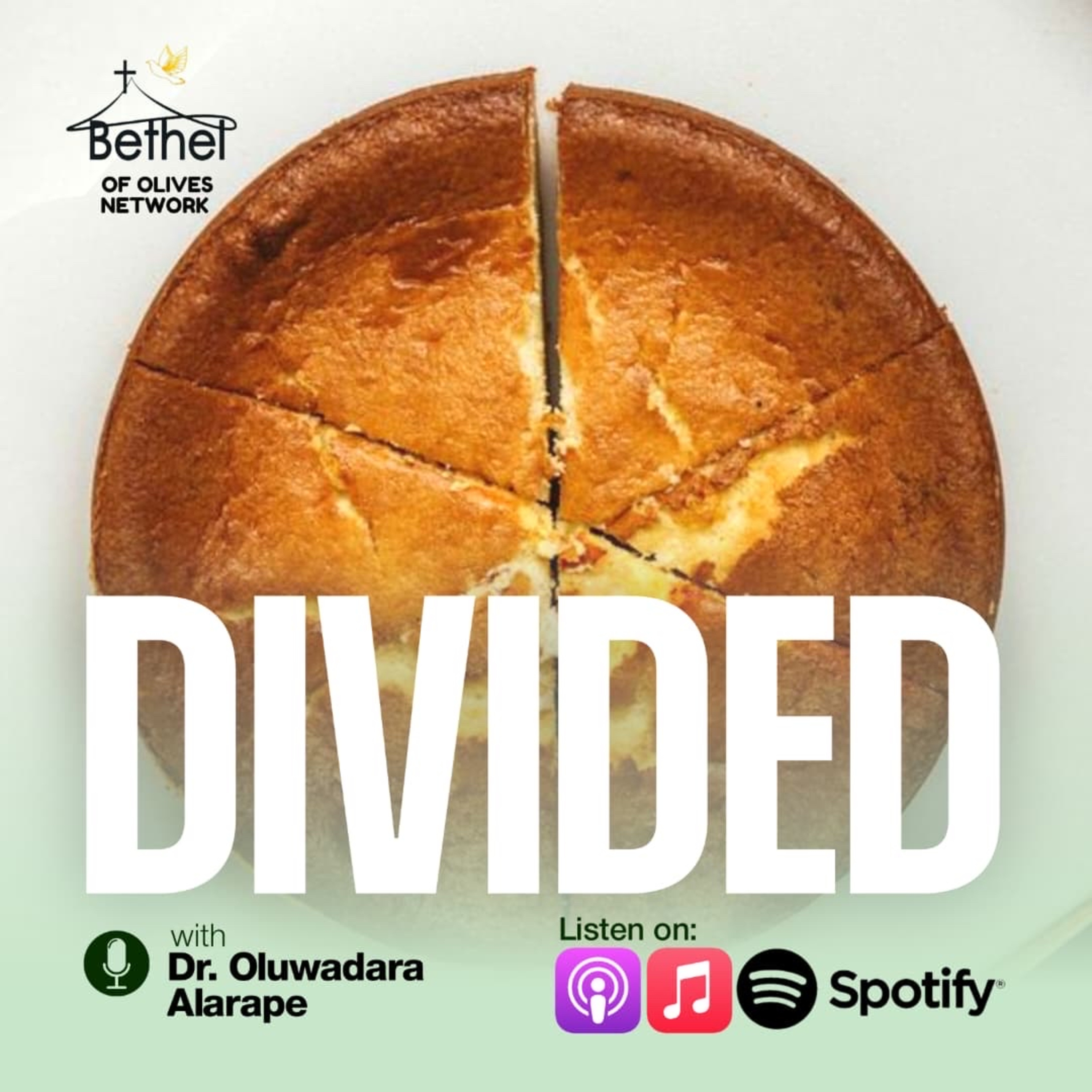 DIVIDED episode artwork