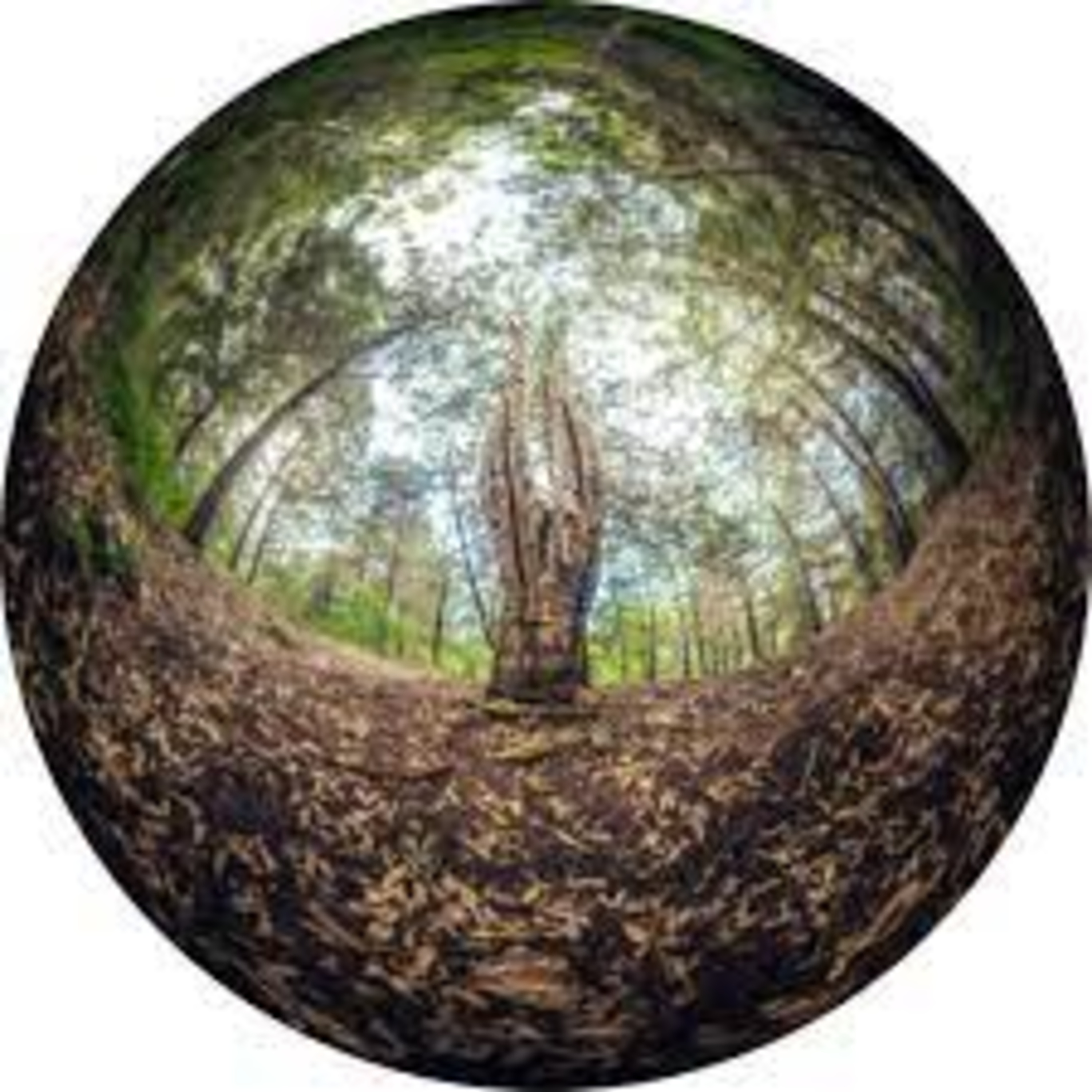 Meditación, oración silenciosa
