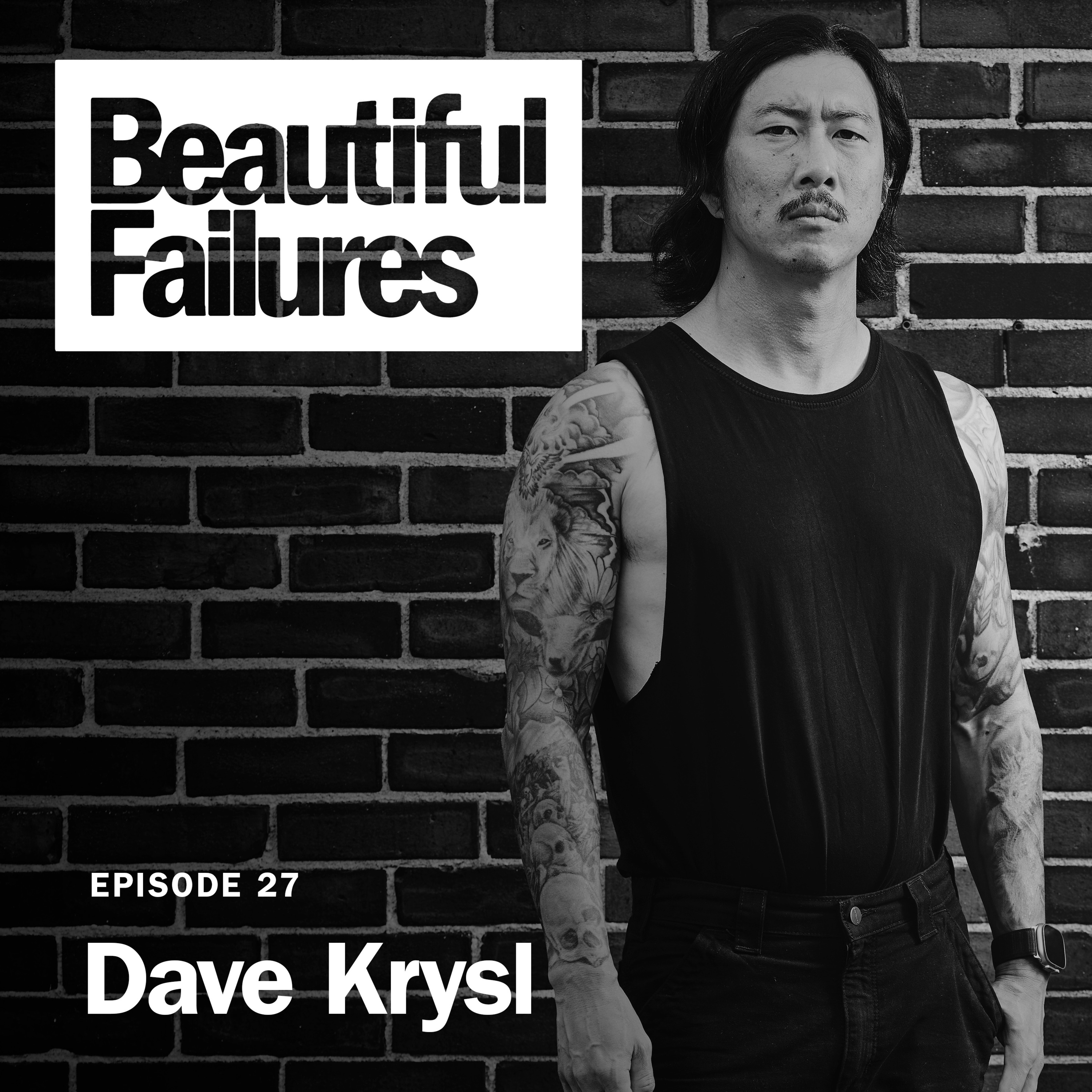 EPISODE 27: Dave Krysl