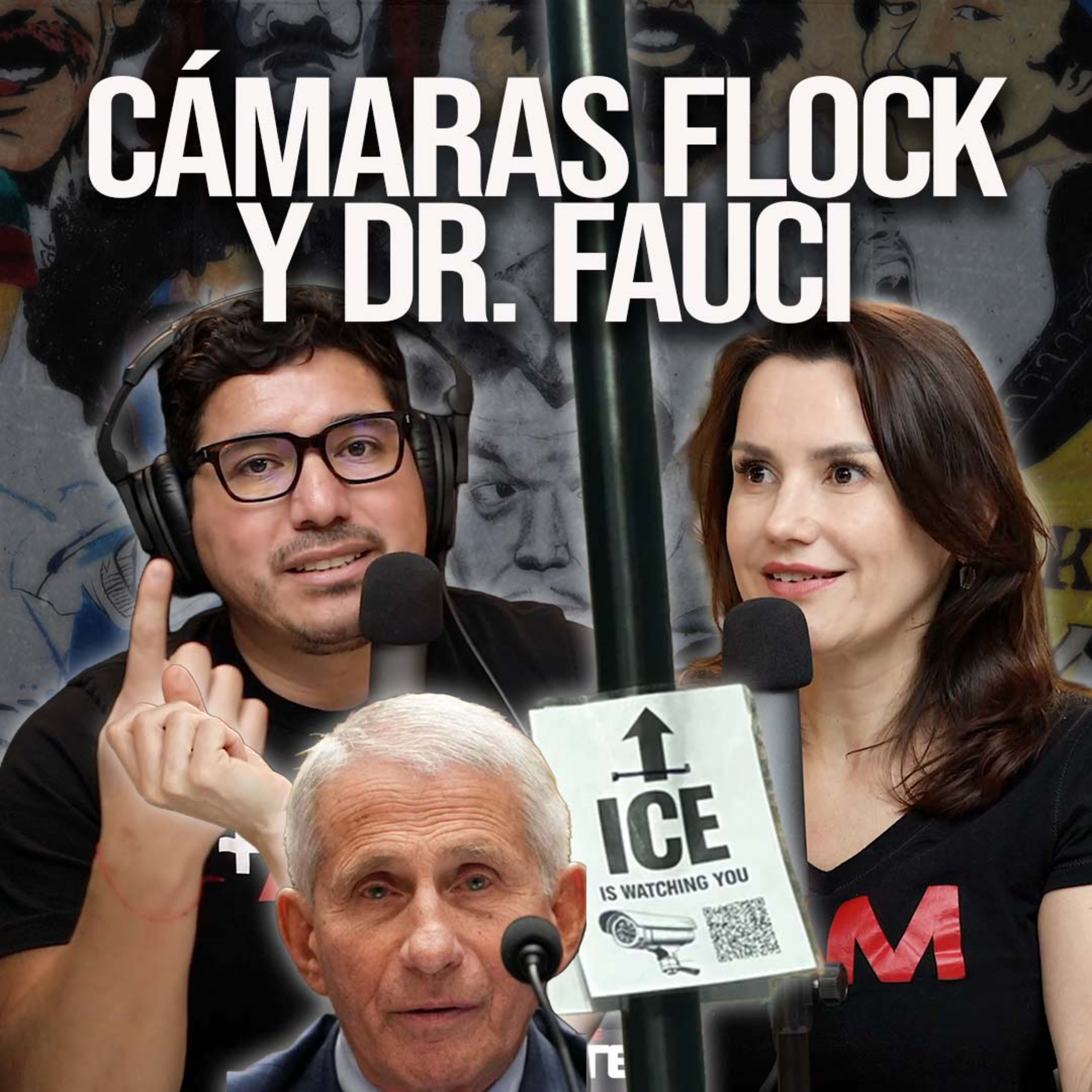 Cámaras Flock y la audiencia de. Dr. Fauci episode artwork