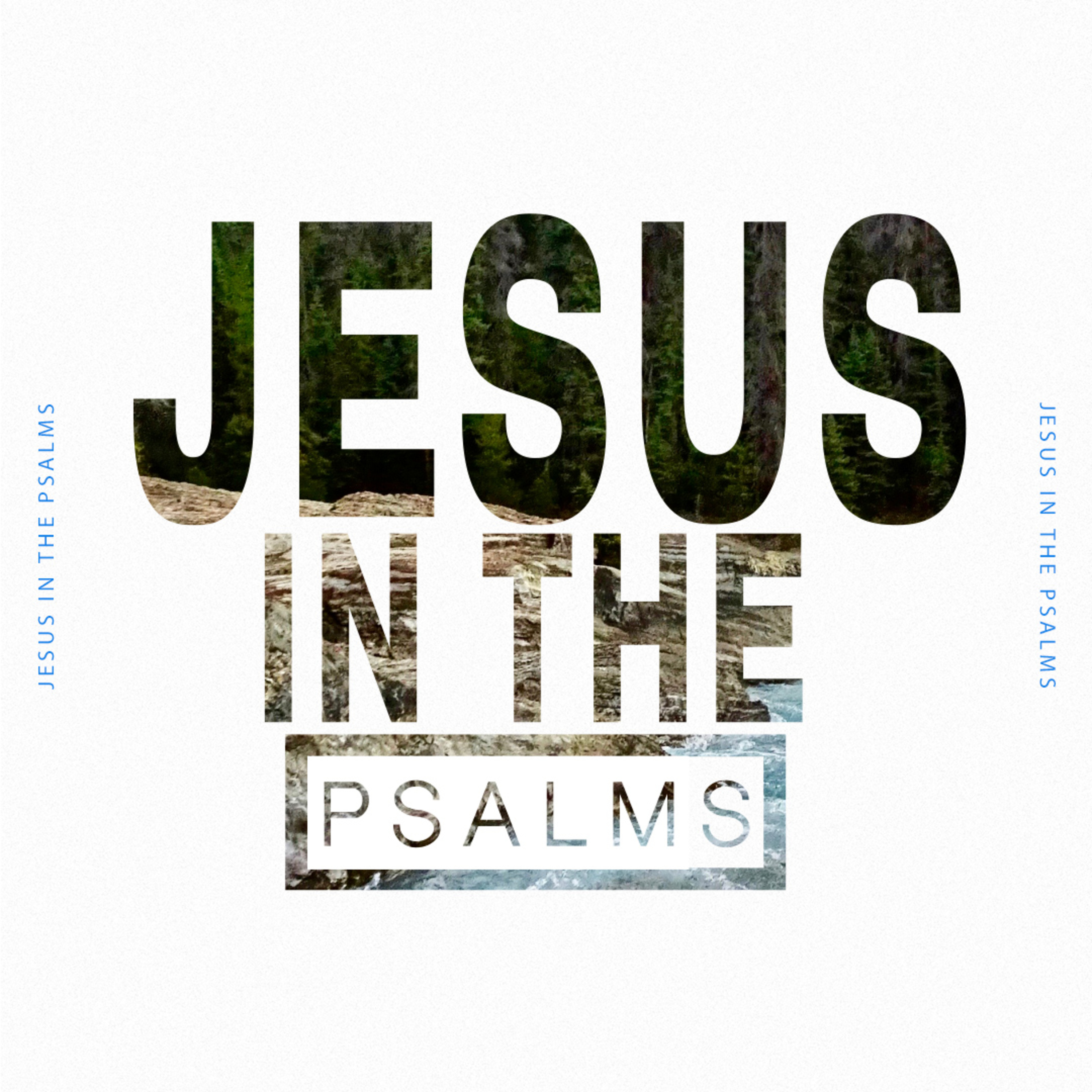 Psalms | Week 9 | Jesus in the Psalms episode artwork