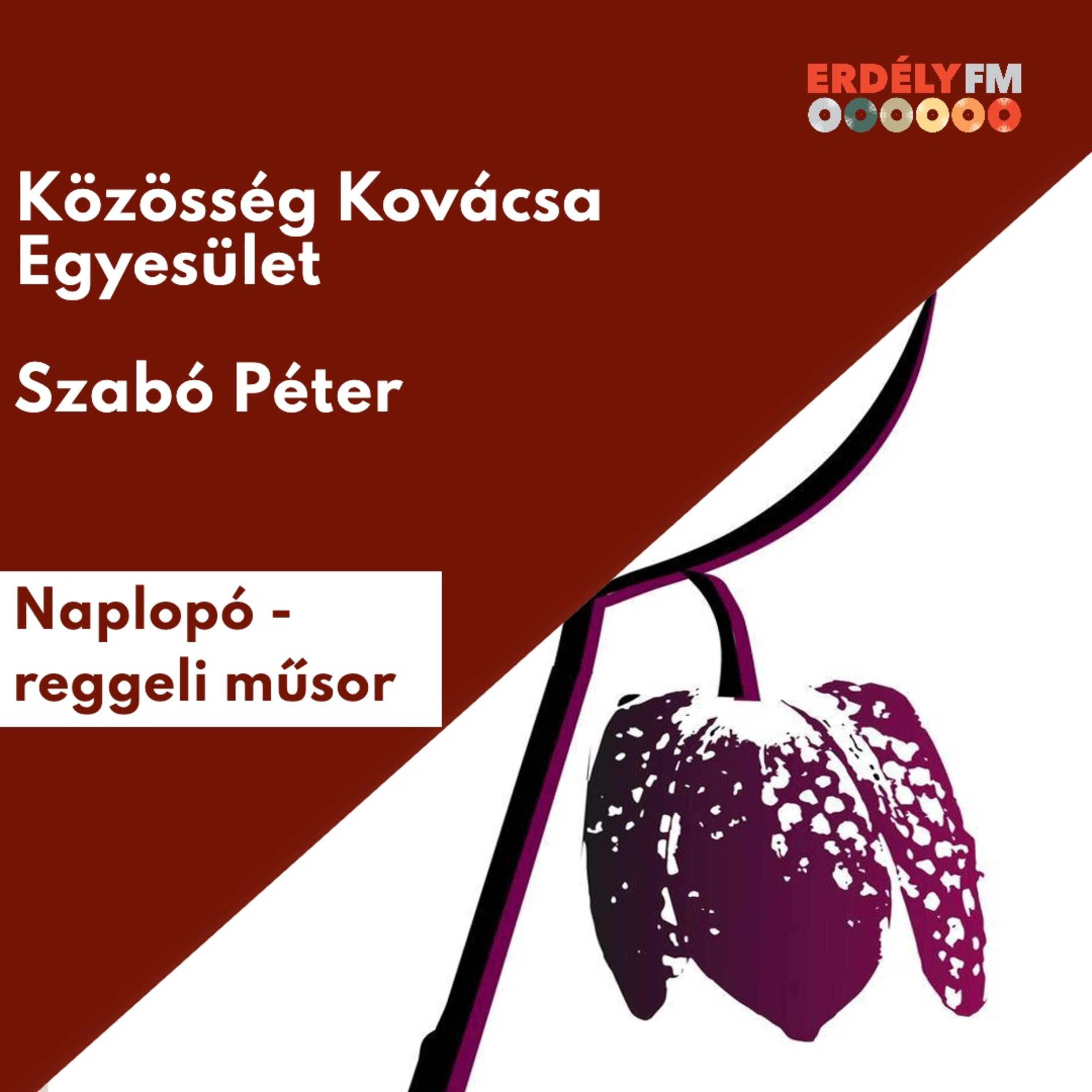 Közösség Kovácsa Egyesület - Szabó Péter episode artwork