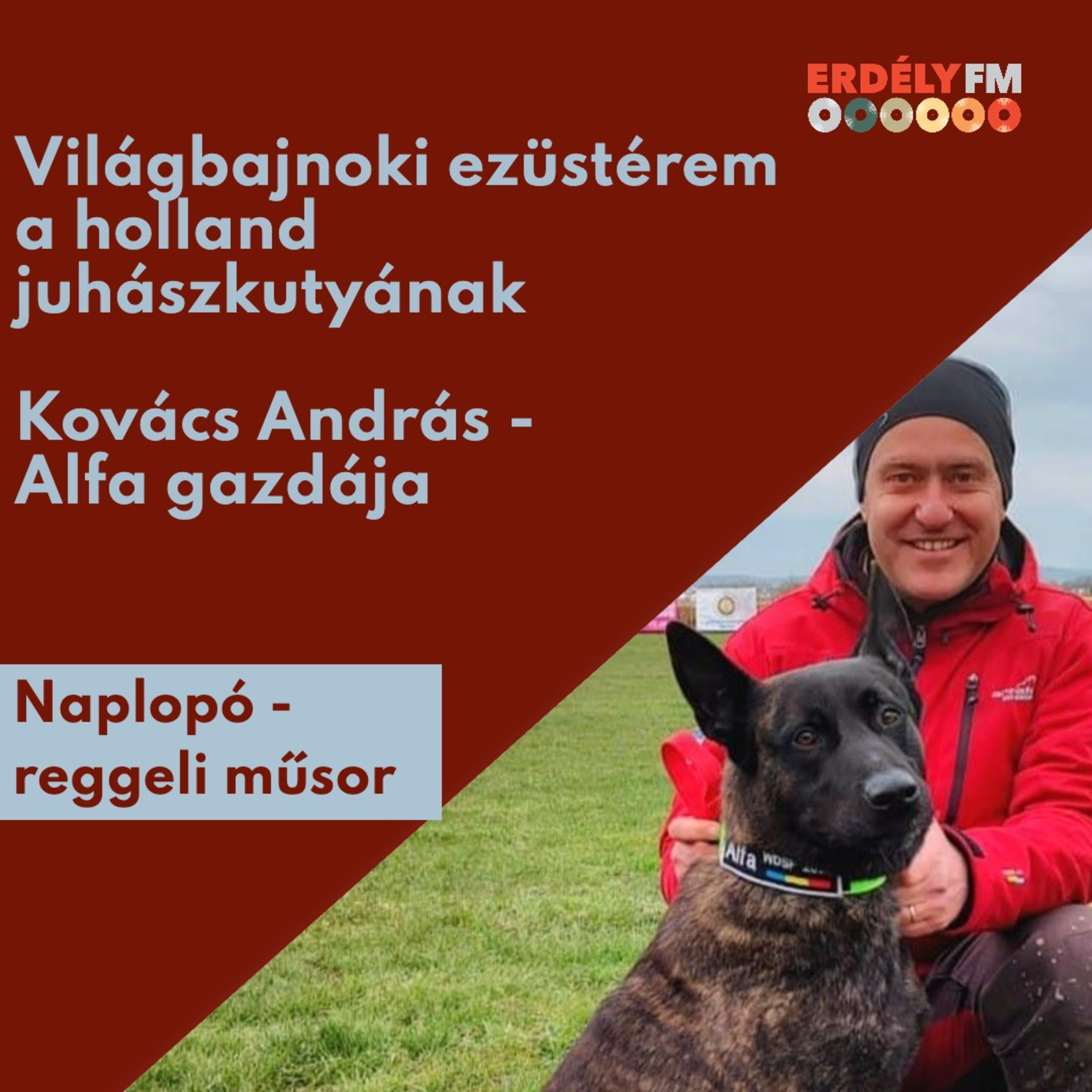 Világbajnoki ezüstérem Alfának episode artwork