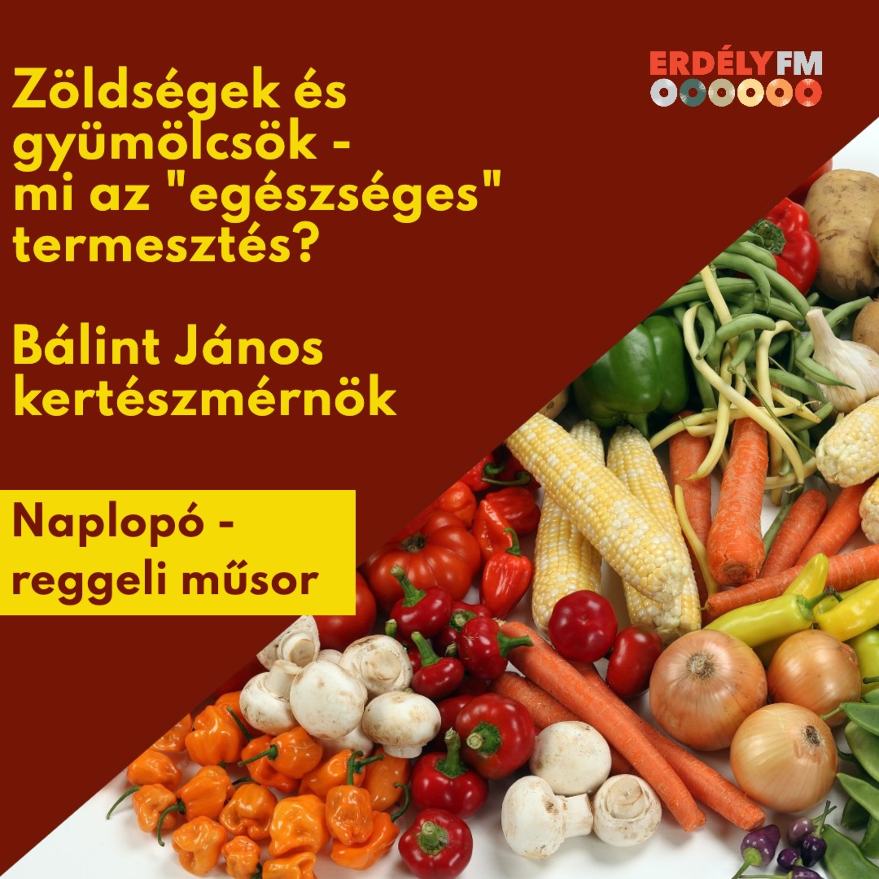 "Egészséges" termesztés - Bálint János kertészmérnök episode artwork