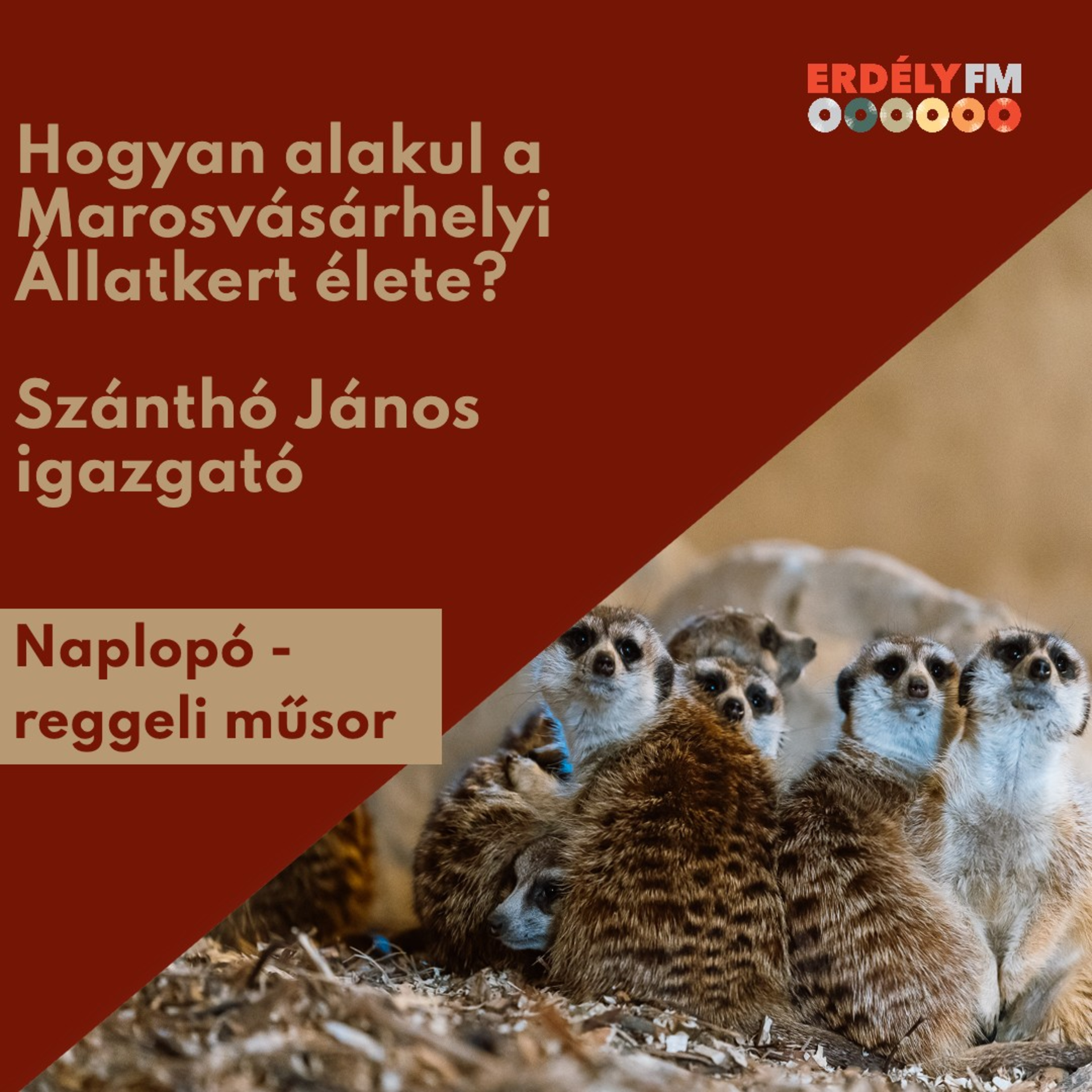 Erdély FM
