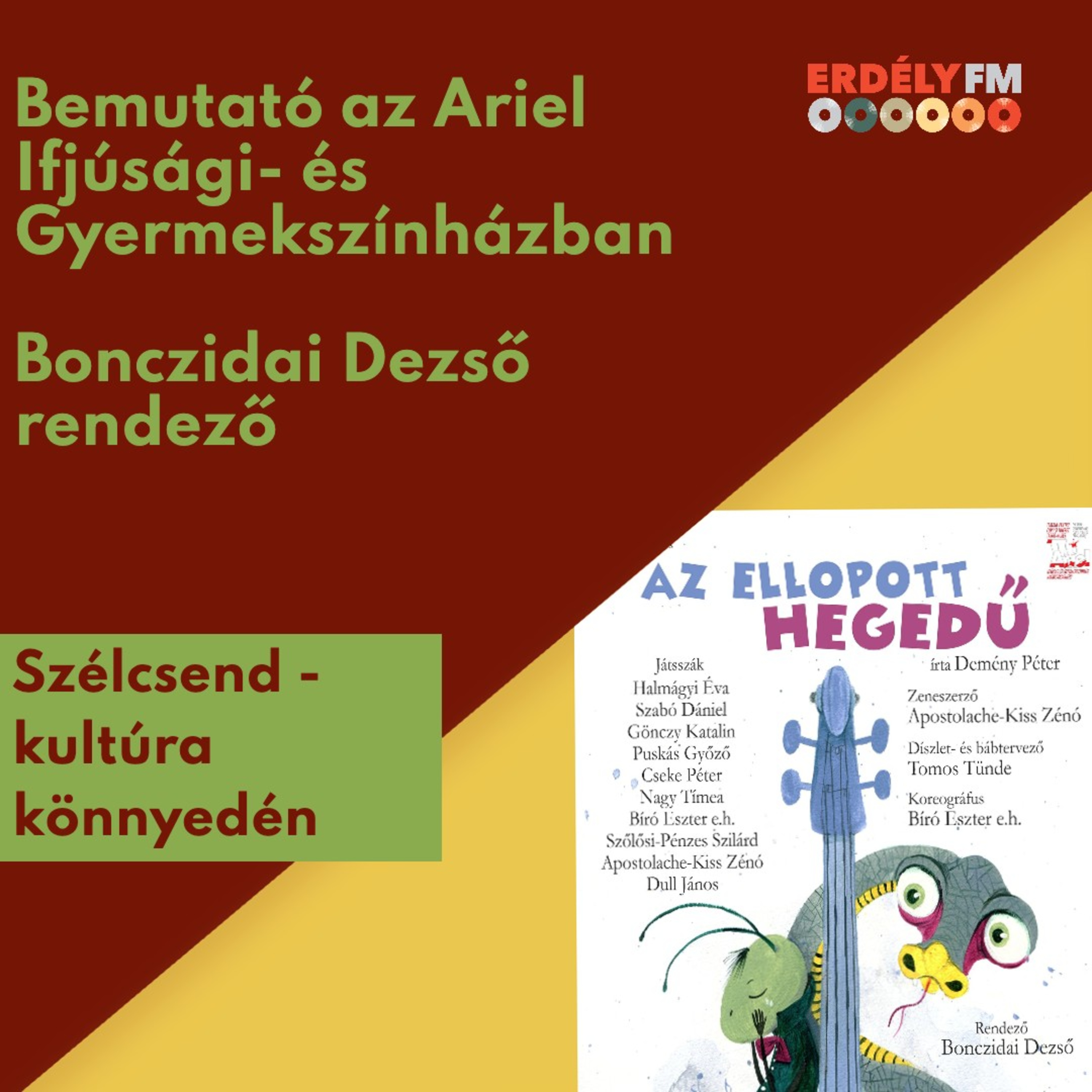 Az ellopott hegedű - bemutató az Arielben episode artwork