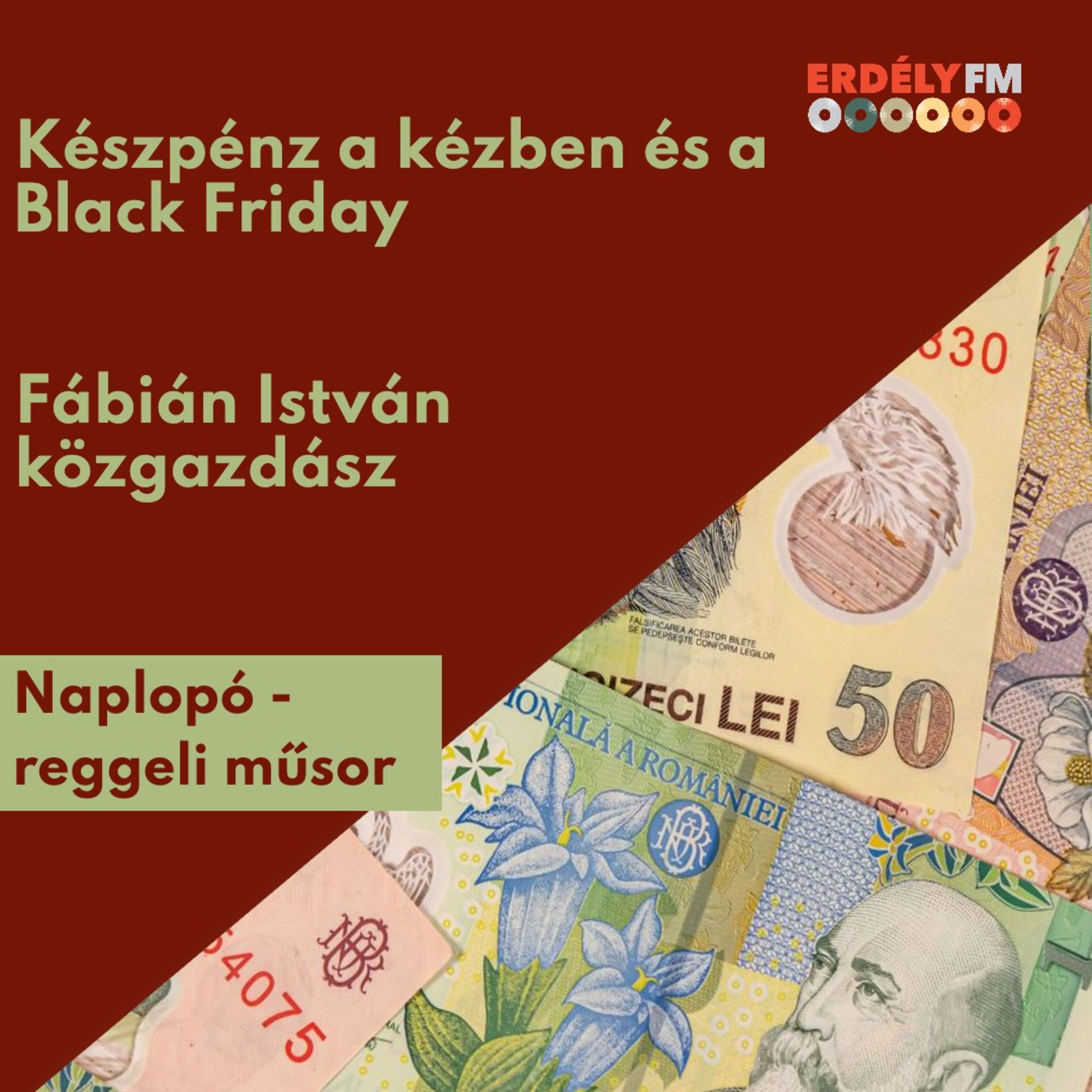Készpénz a kézben - Fábián István közgazdász episode artwork
