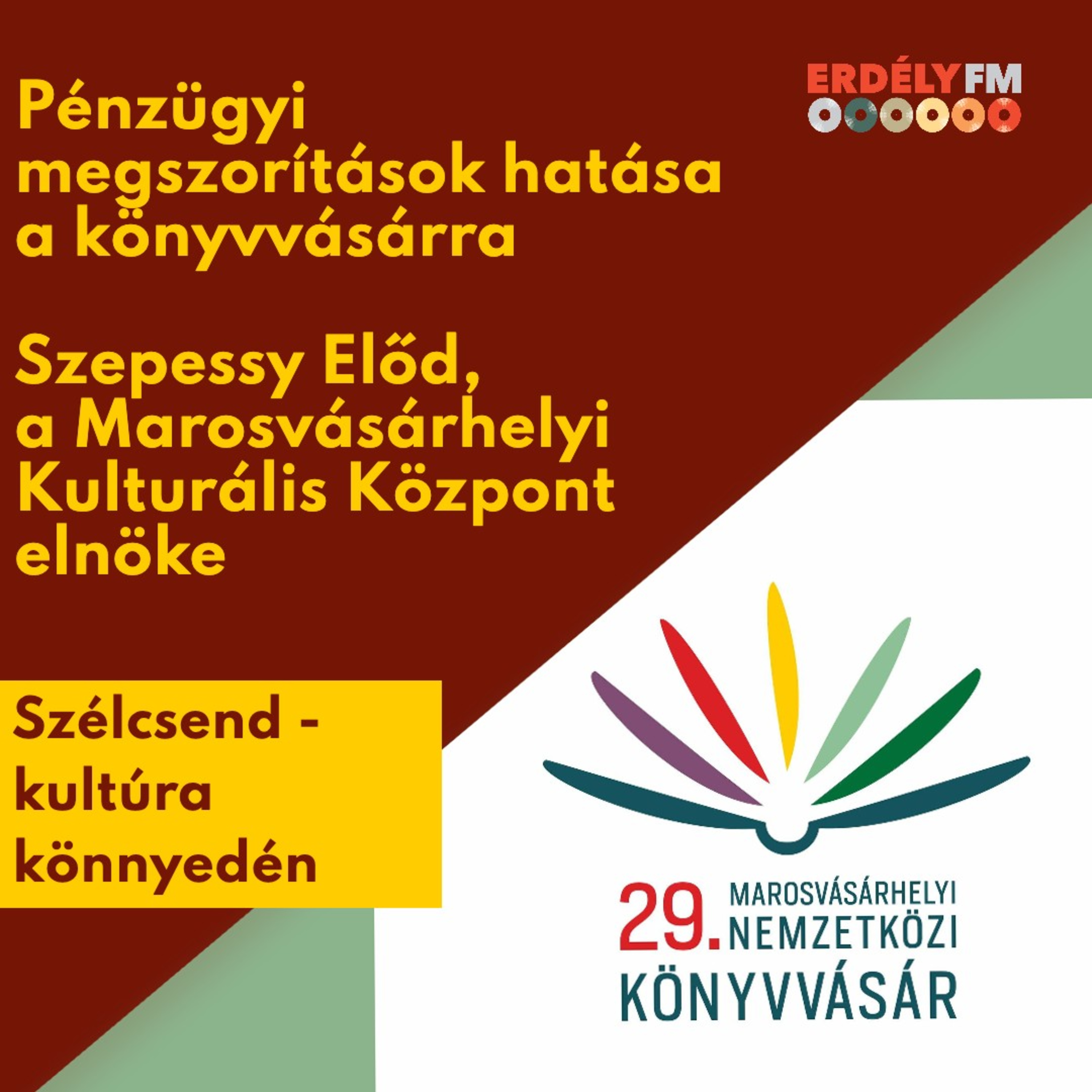 Pénzügyi megszorítások hatása a könyvvásárra episode artwork