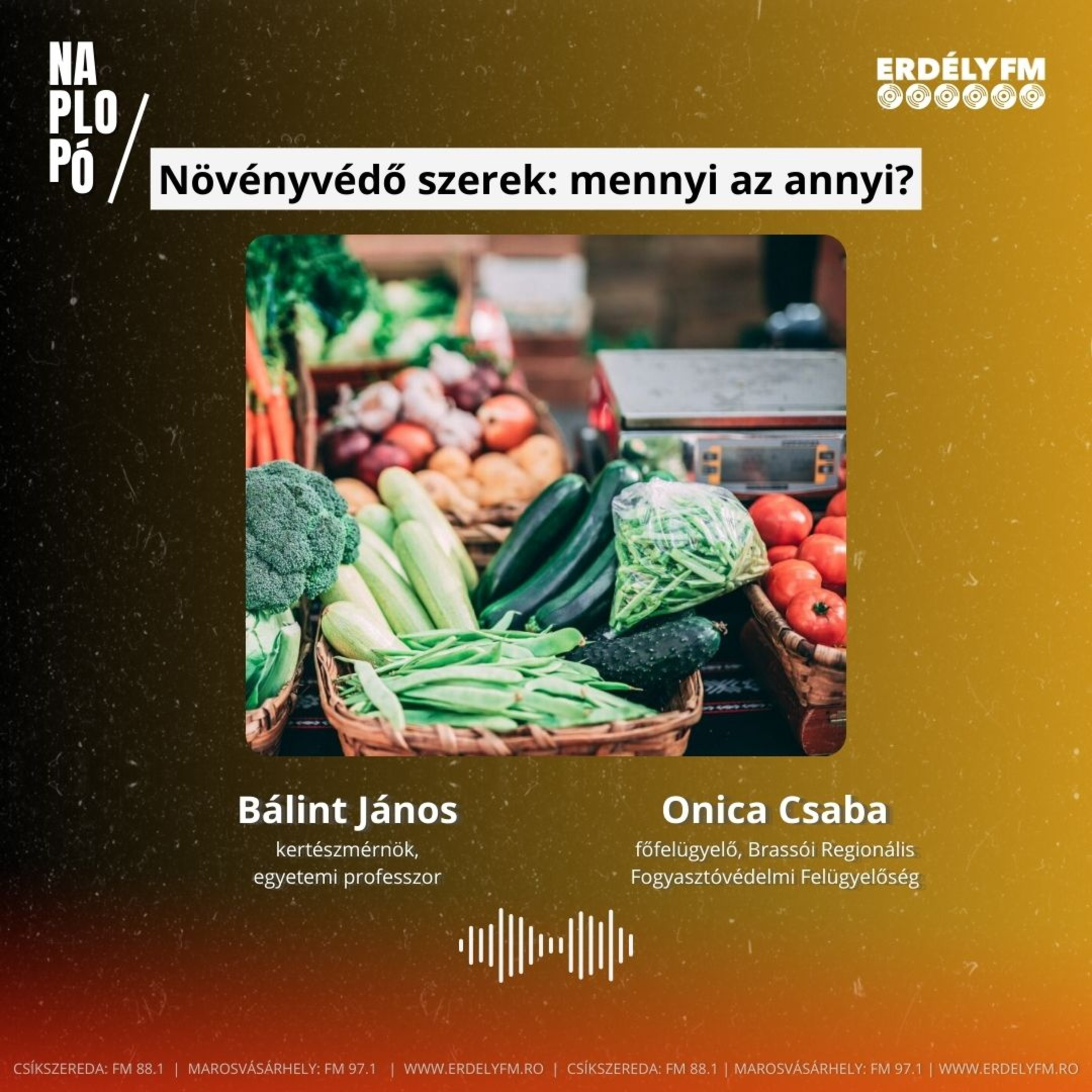 Növényvédőszerek a zöldségeinken: mennyi az annyi? episode artwork