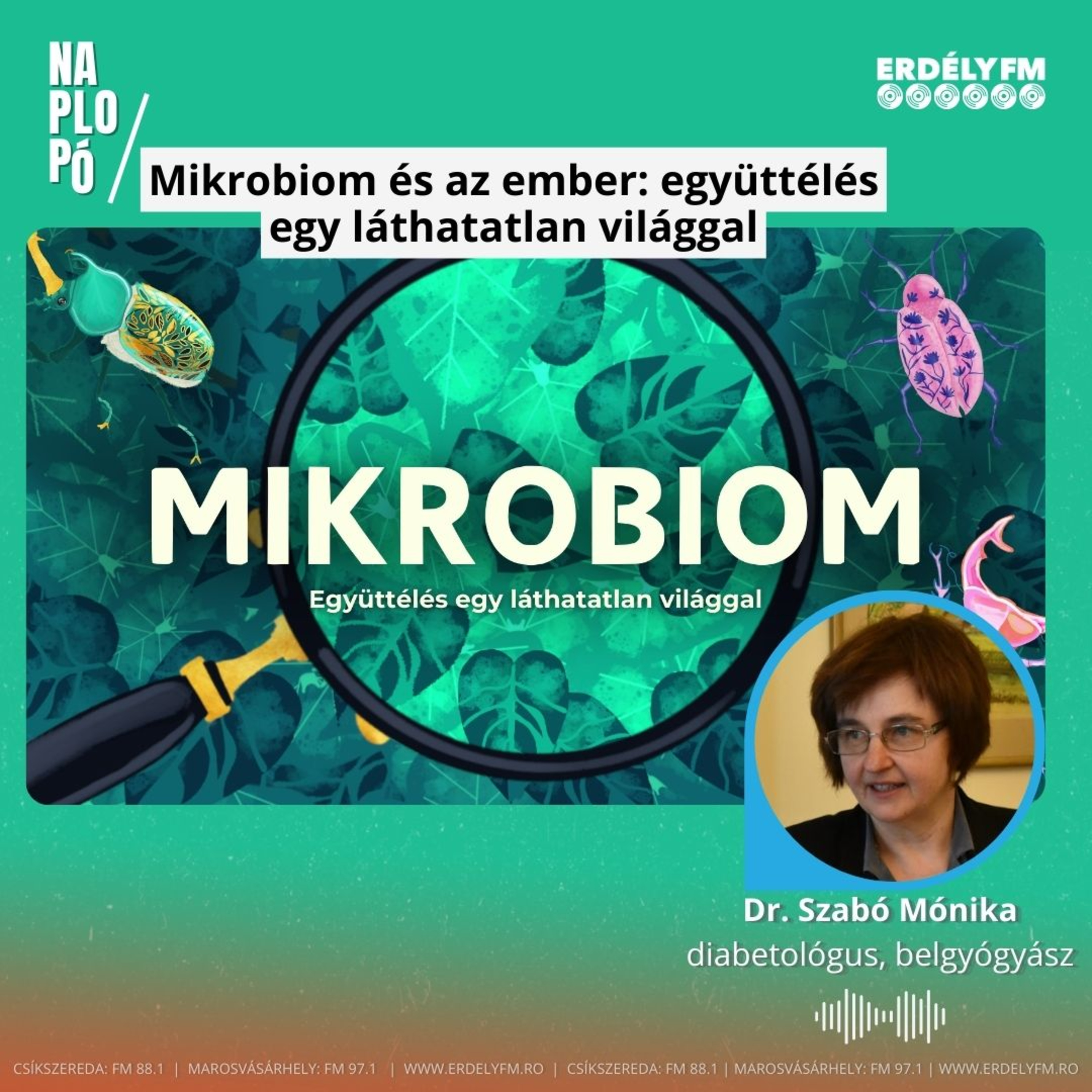 Mikrobiom és az ember: együttélés egy láthatatlan világgal episode artwork