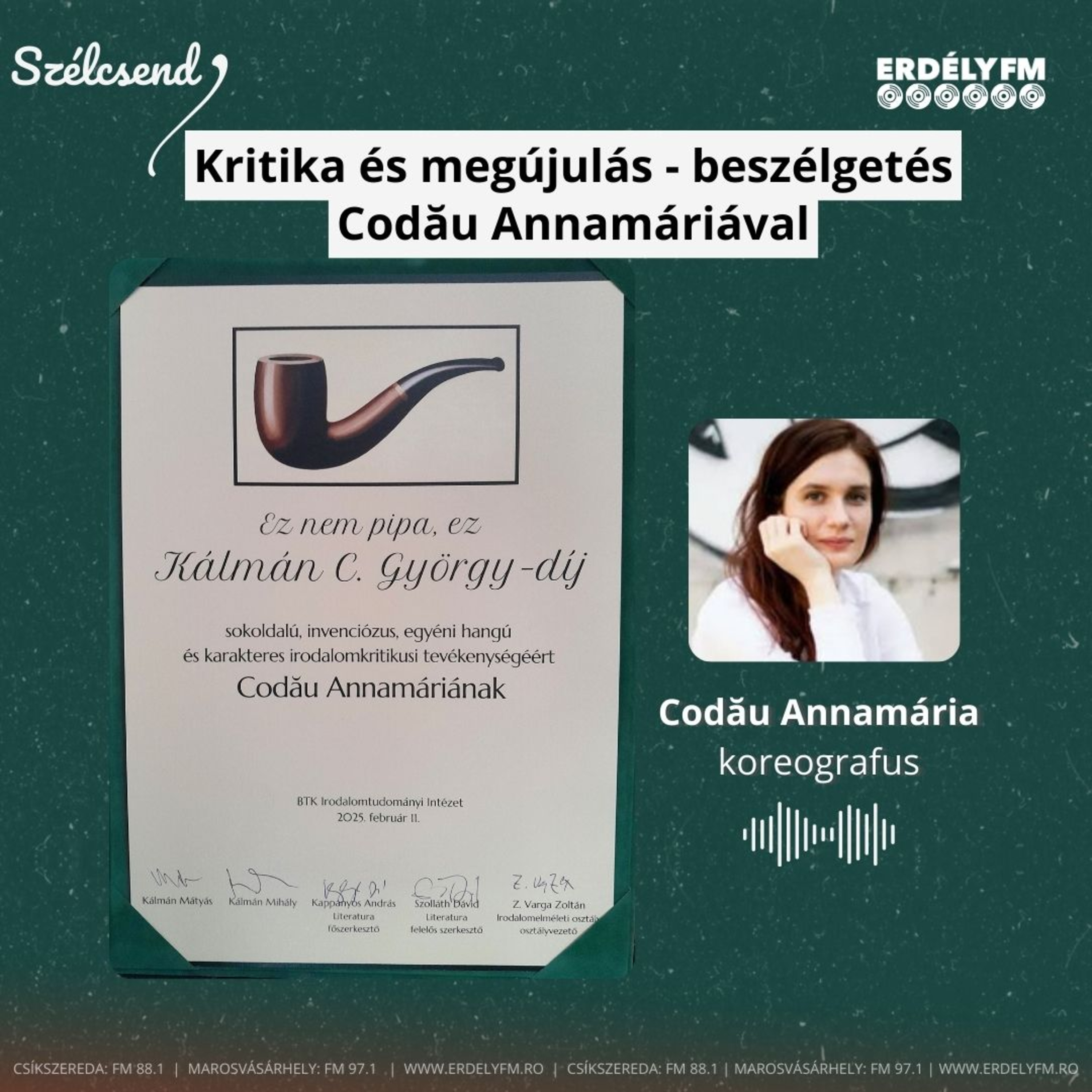 Kritika és megújulás - beszélgetés Codău Annamáriával episode artwork