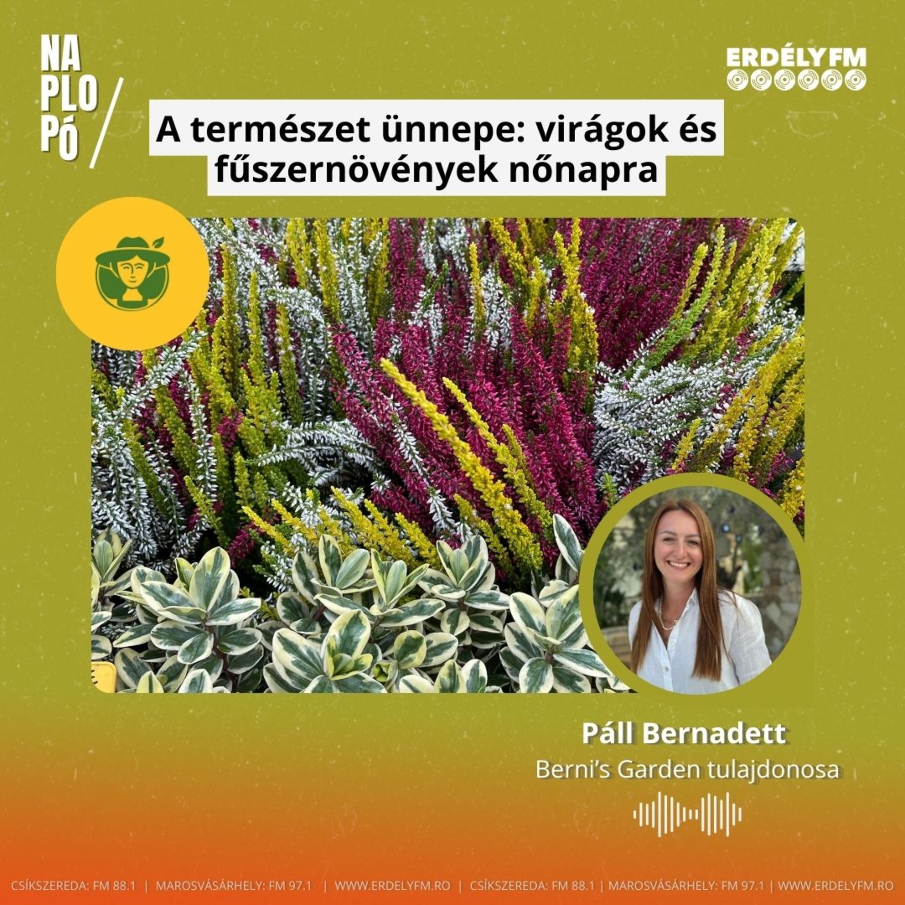 A természet ünnepe: virágok és fűszernövények nőnapra episode artwork