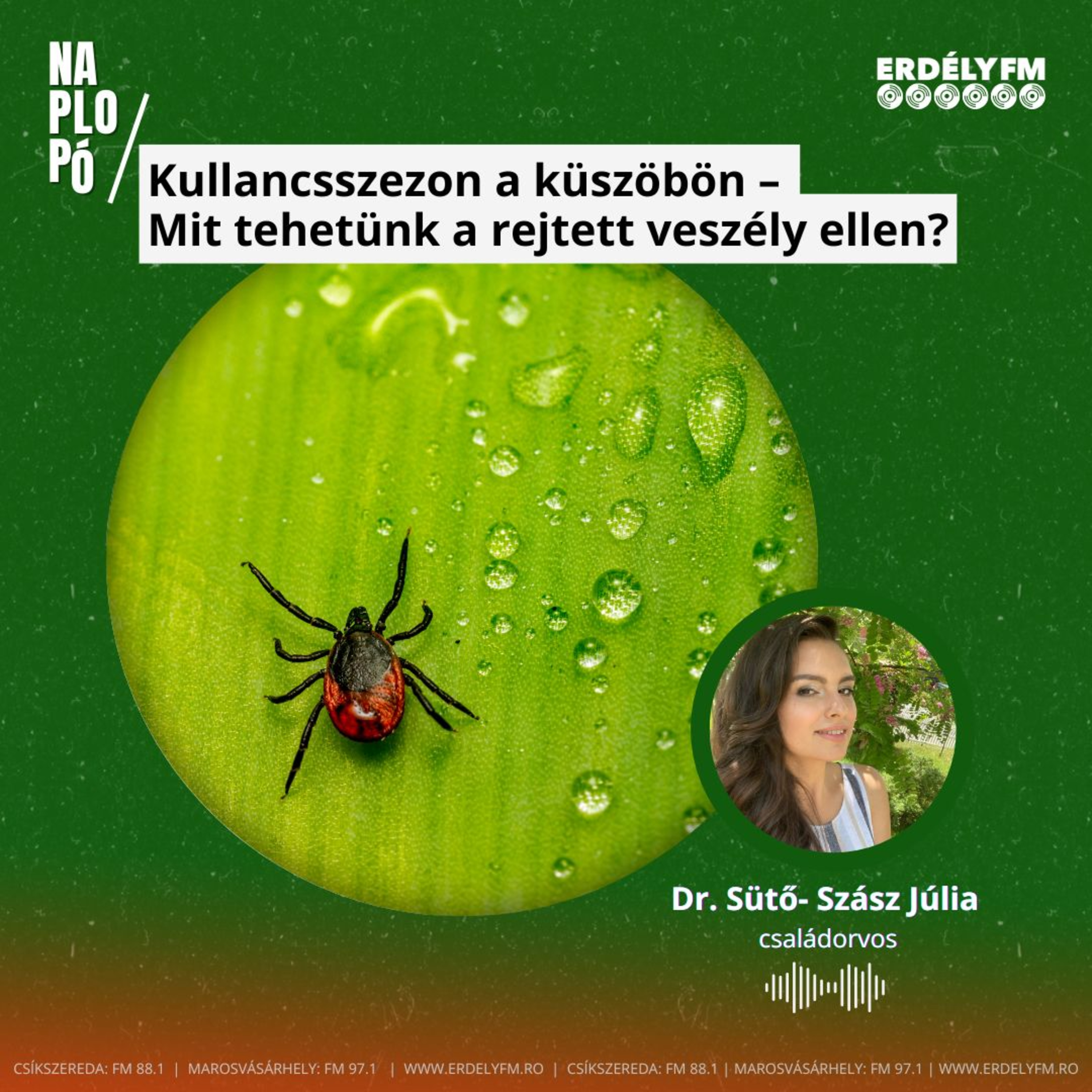 Kullancsszezon a küszöbön – Mit tehetünk a rejtett veszély ellen? episode artwork