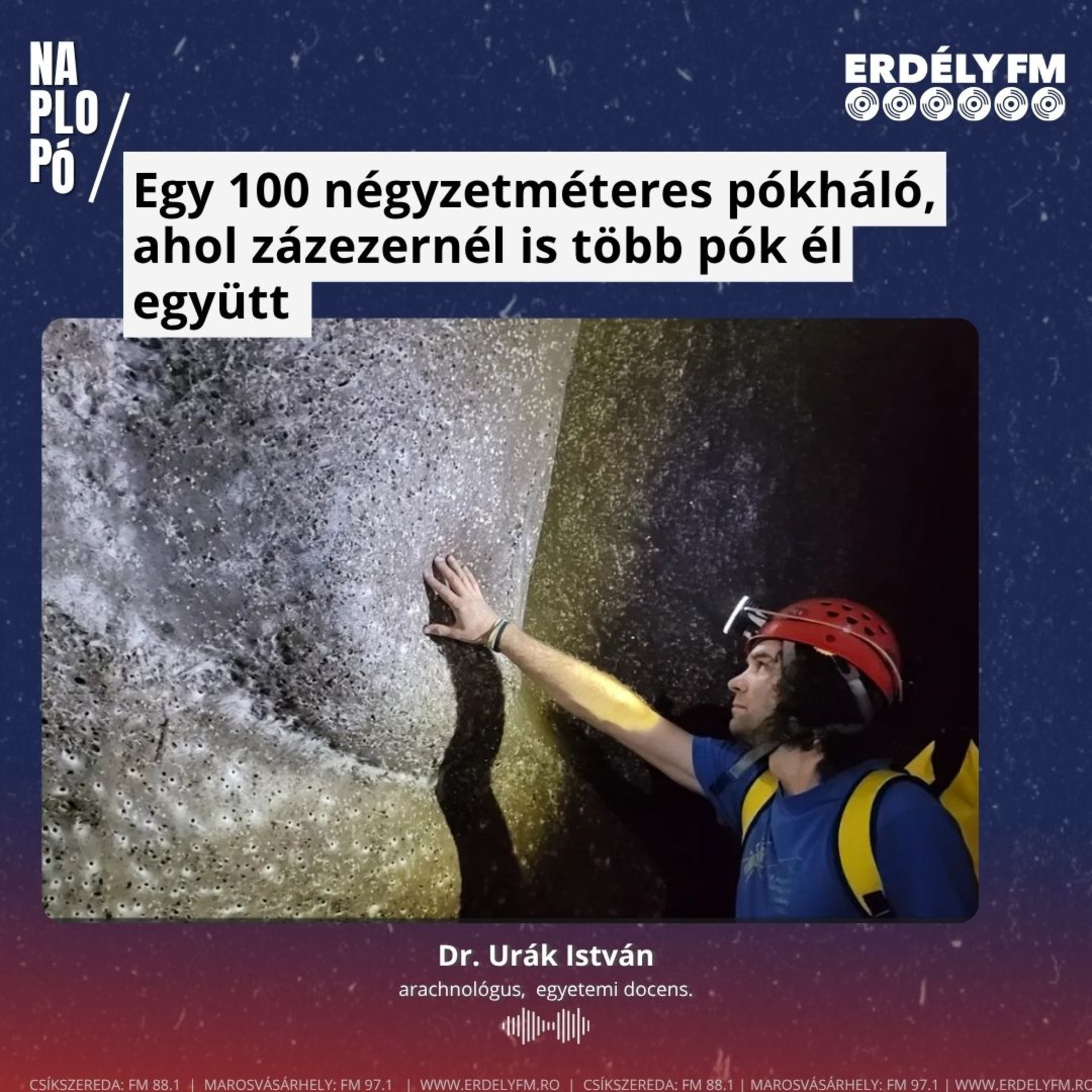 Egy 100 négyzetméteres pókháló, ahol százezernél is több pók él együtt episode artwork