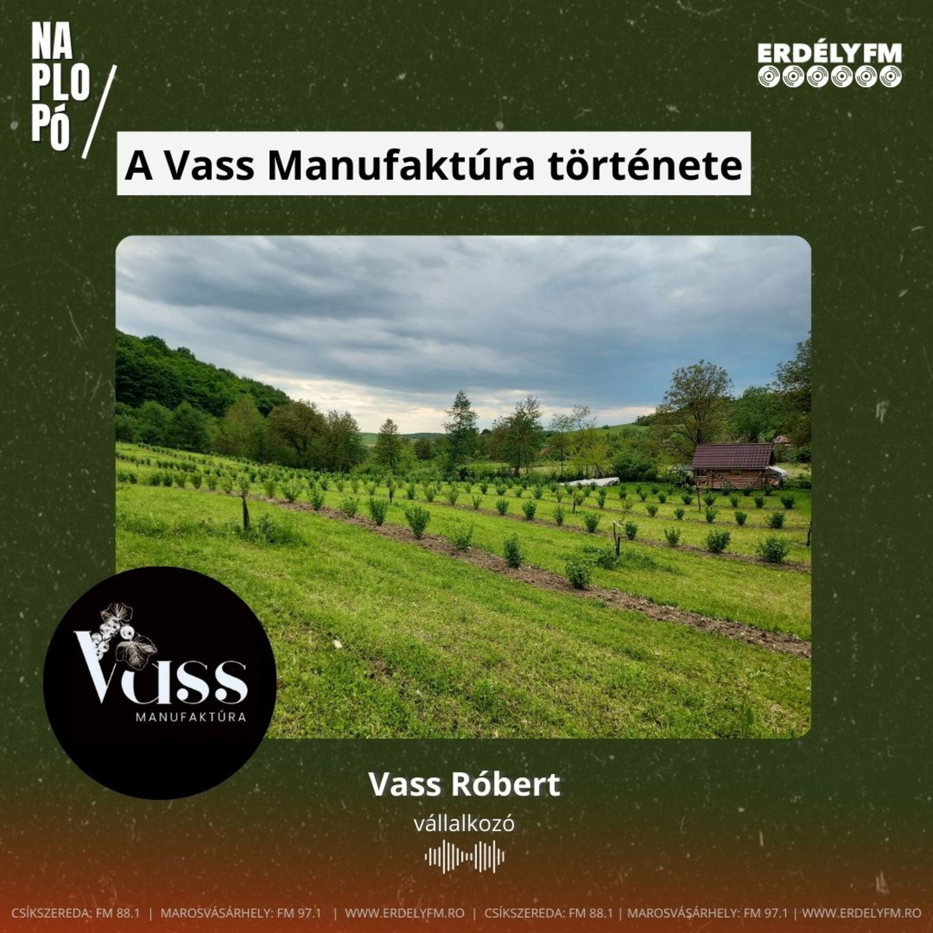 A Vass Manufaktúra története episode artwork