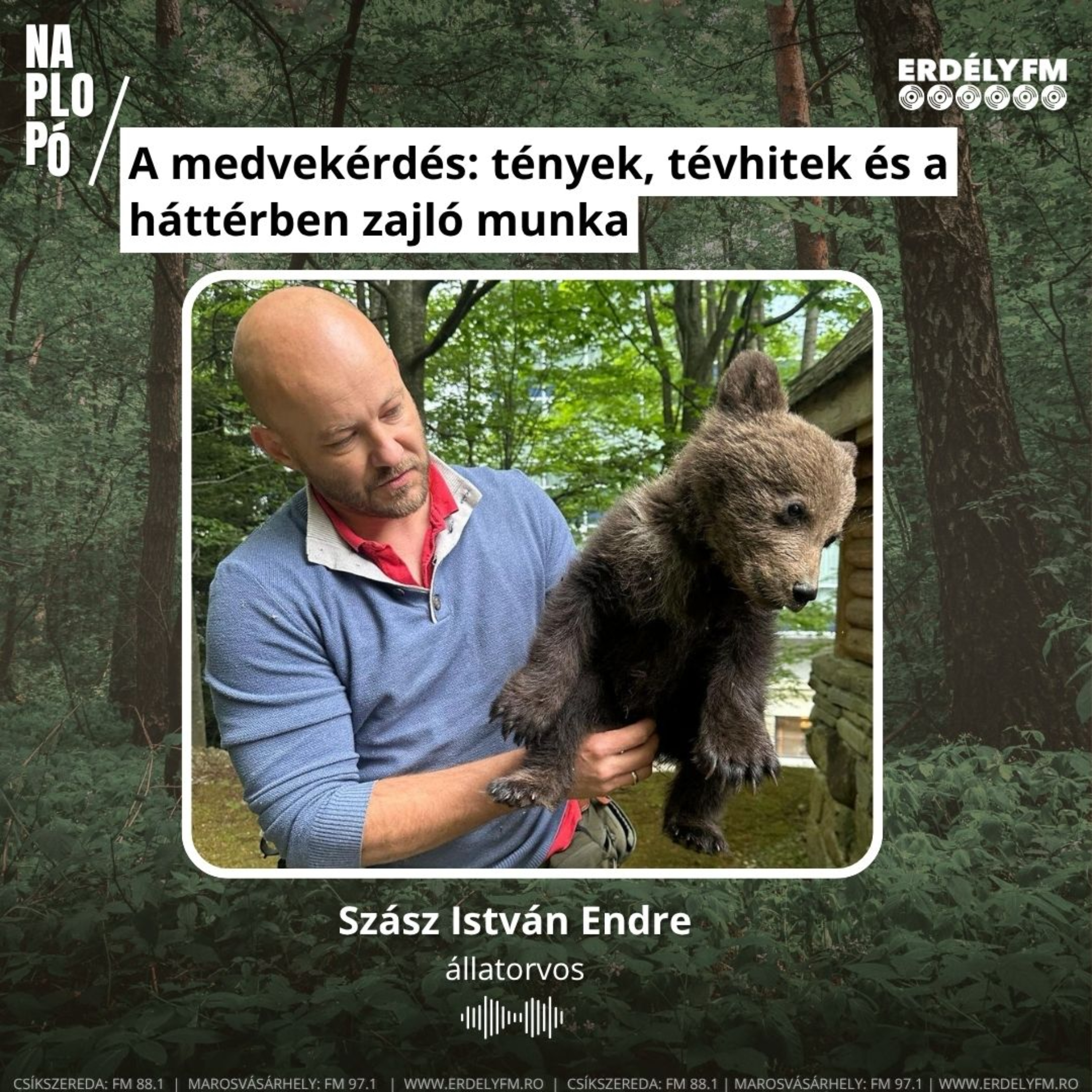 A medvekérdés: tények, tévhitek és a háttérben zajló munka episode artwork