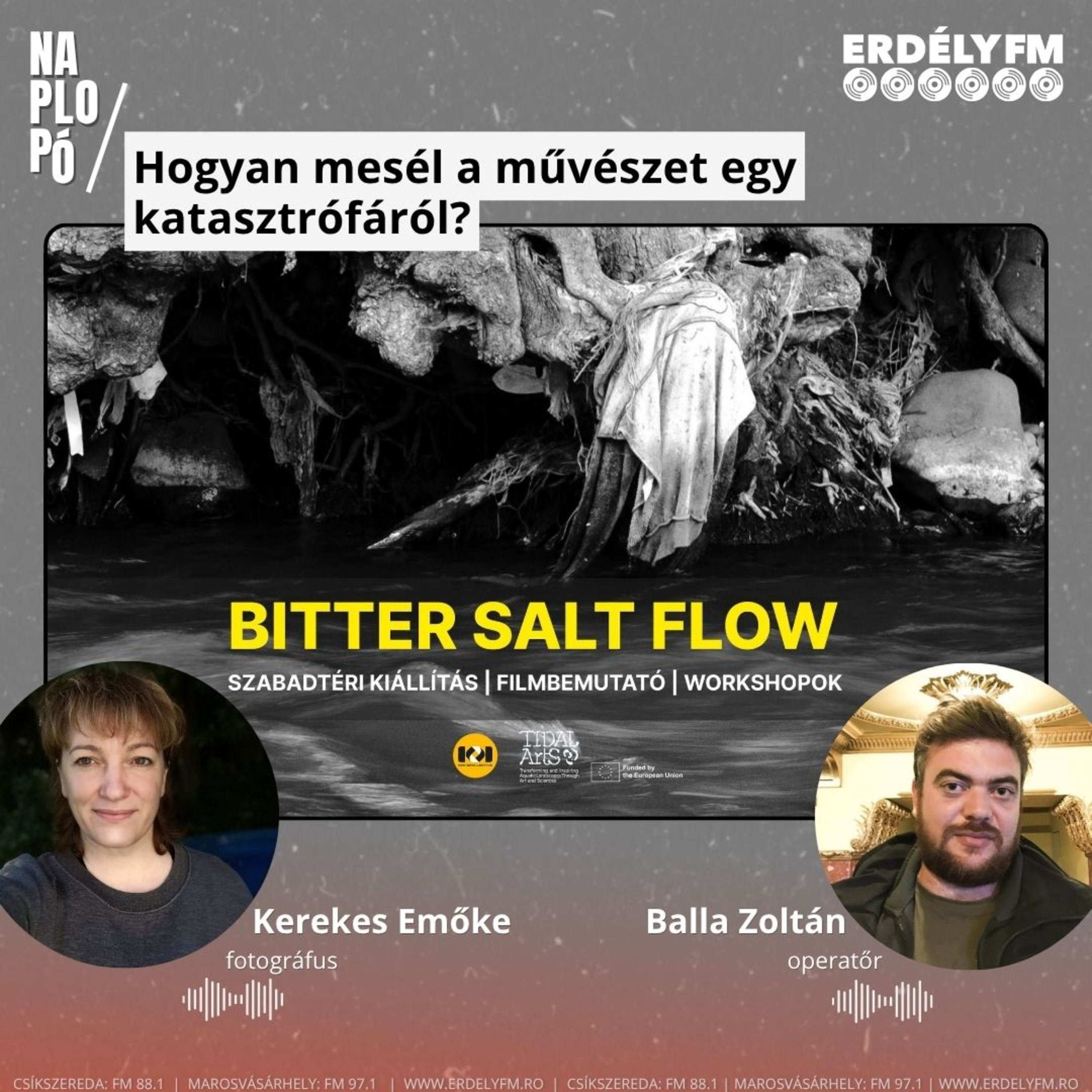 Hogyan mesél a művészet egy katasztrófáról?  episode artwork