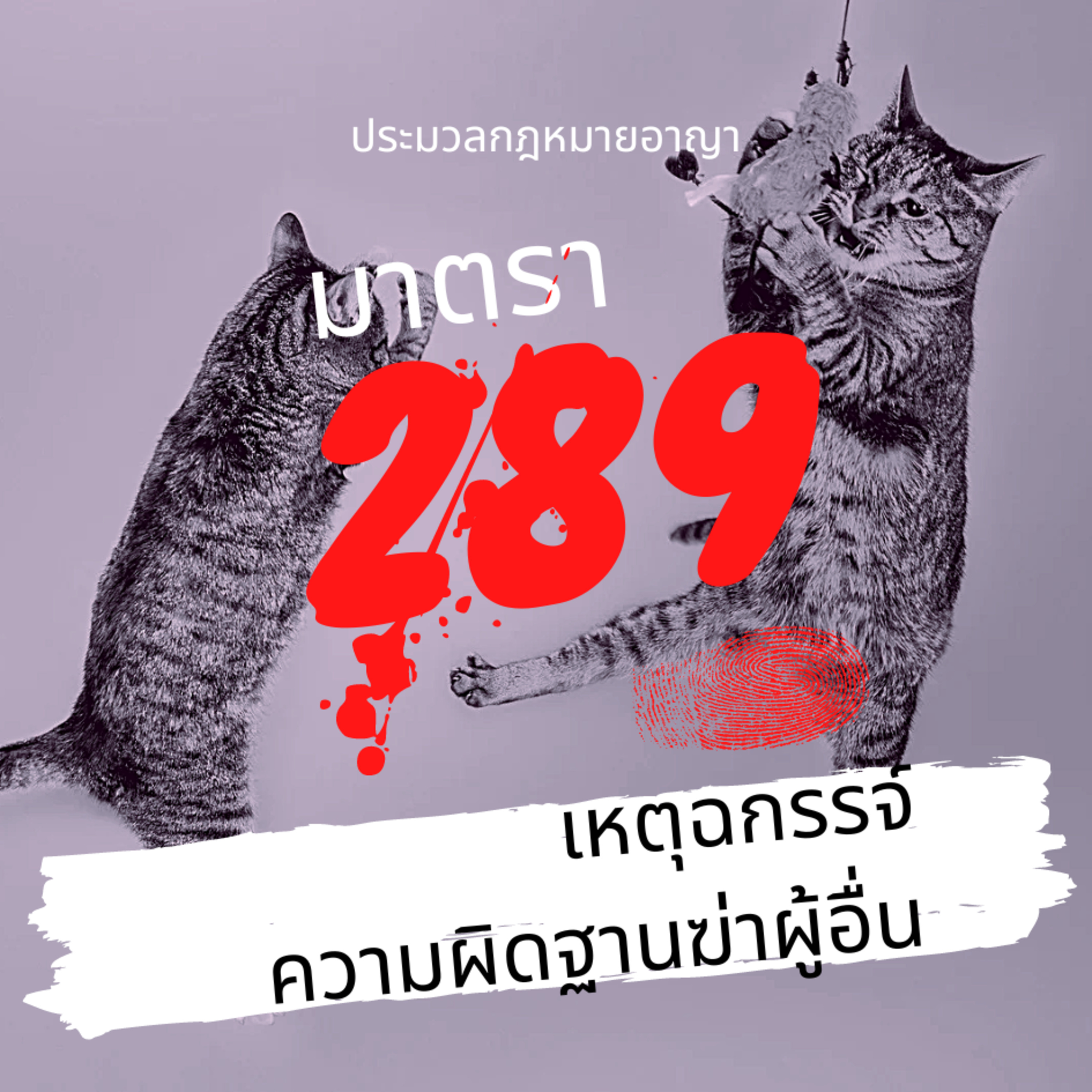 ประมวลกฎหมายอาญา มาตรา 289 เหตุฉกรรจ์ความผิดฐานฆ่าผู้อื่น episode artwork