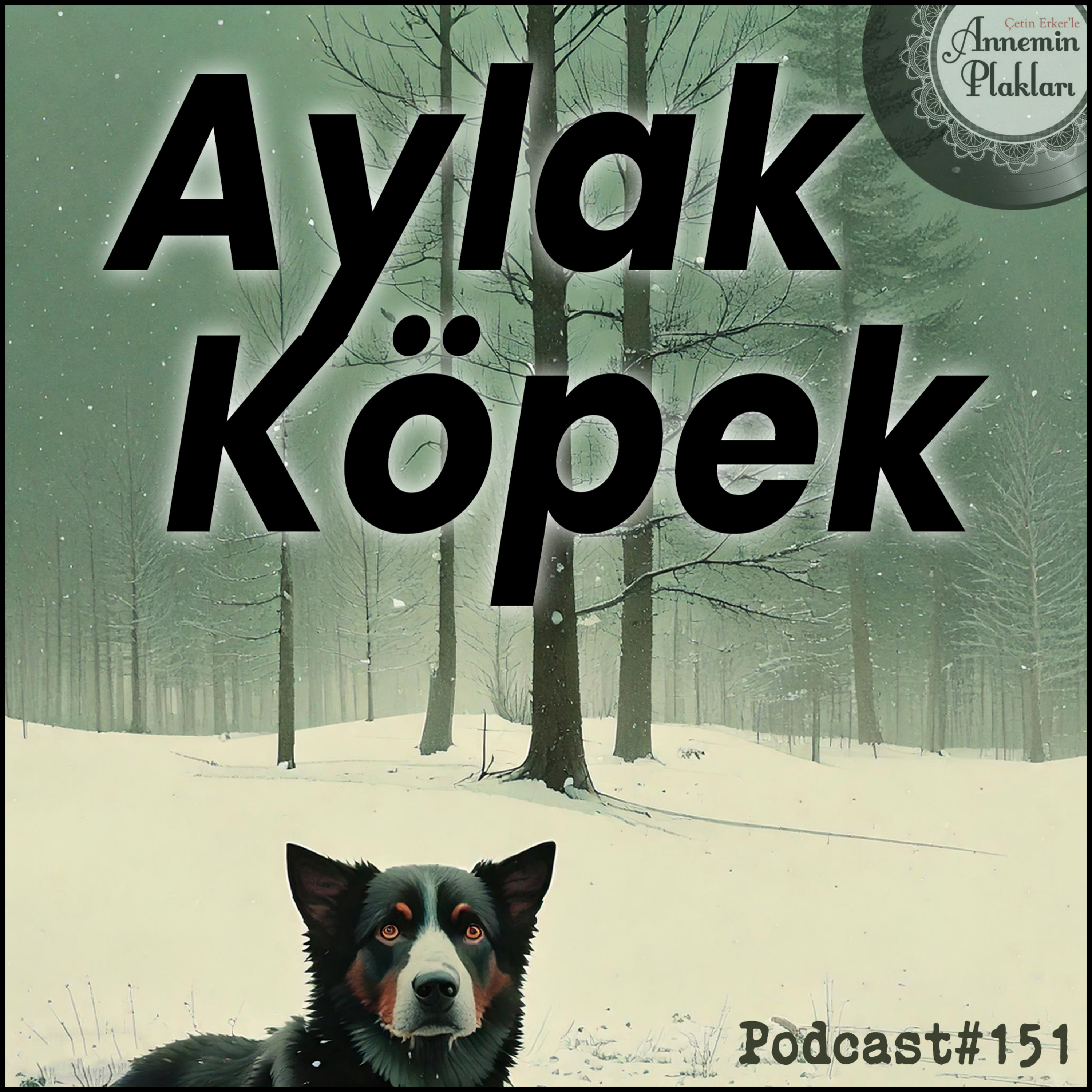 Annemin Plakları