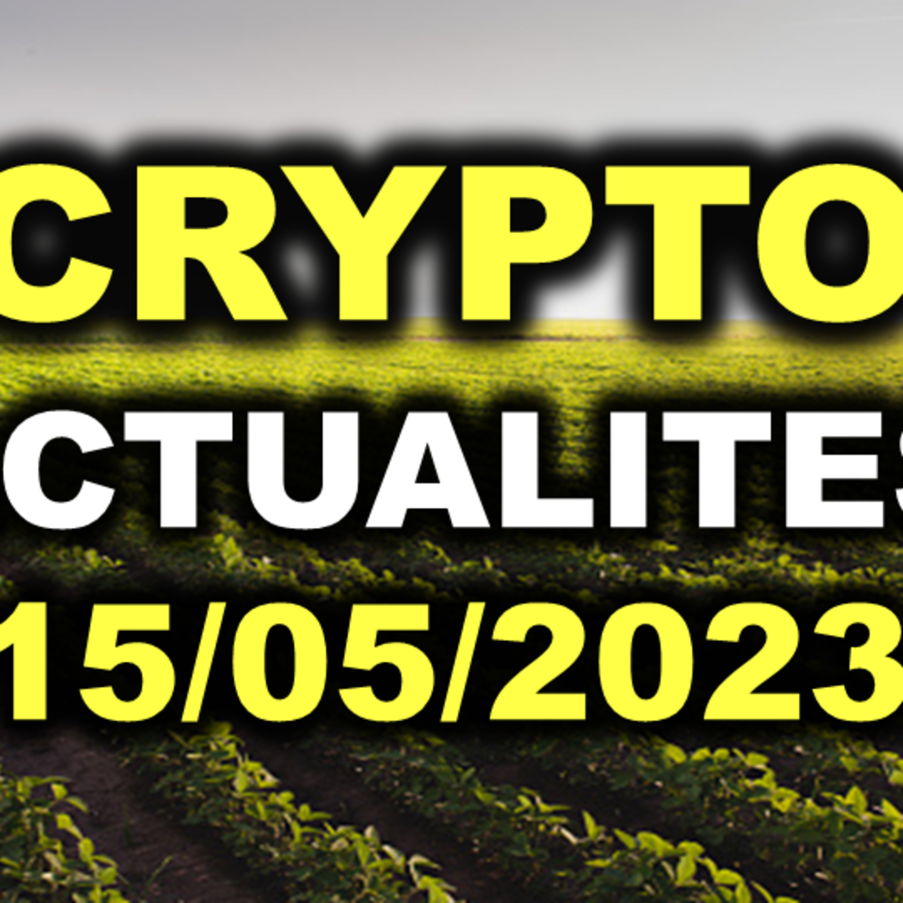 Crypto Flash France - Actualités Cryptomonnaies