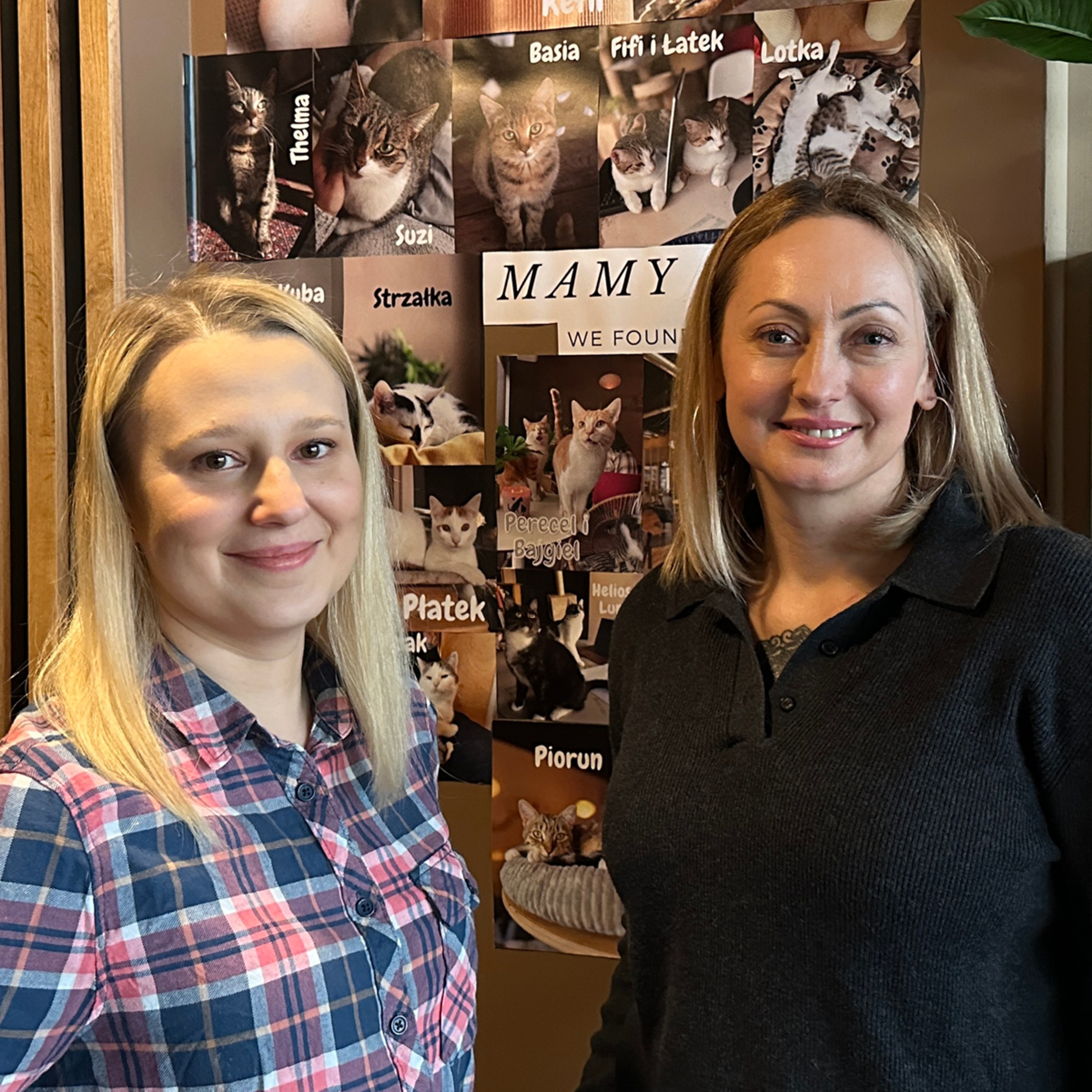 Franchising.pl #Firma #biznes #franczyza