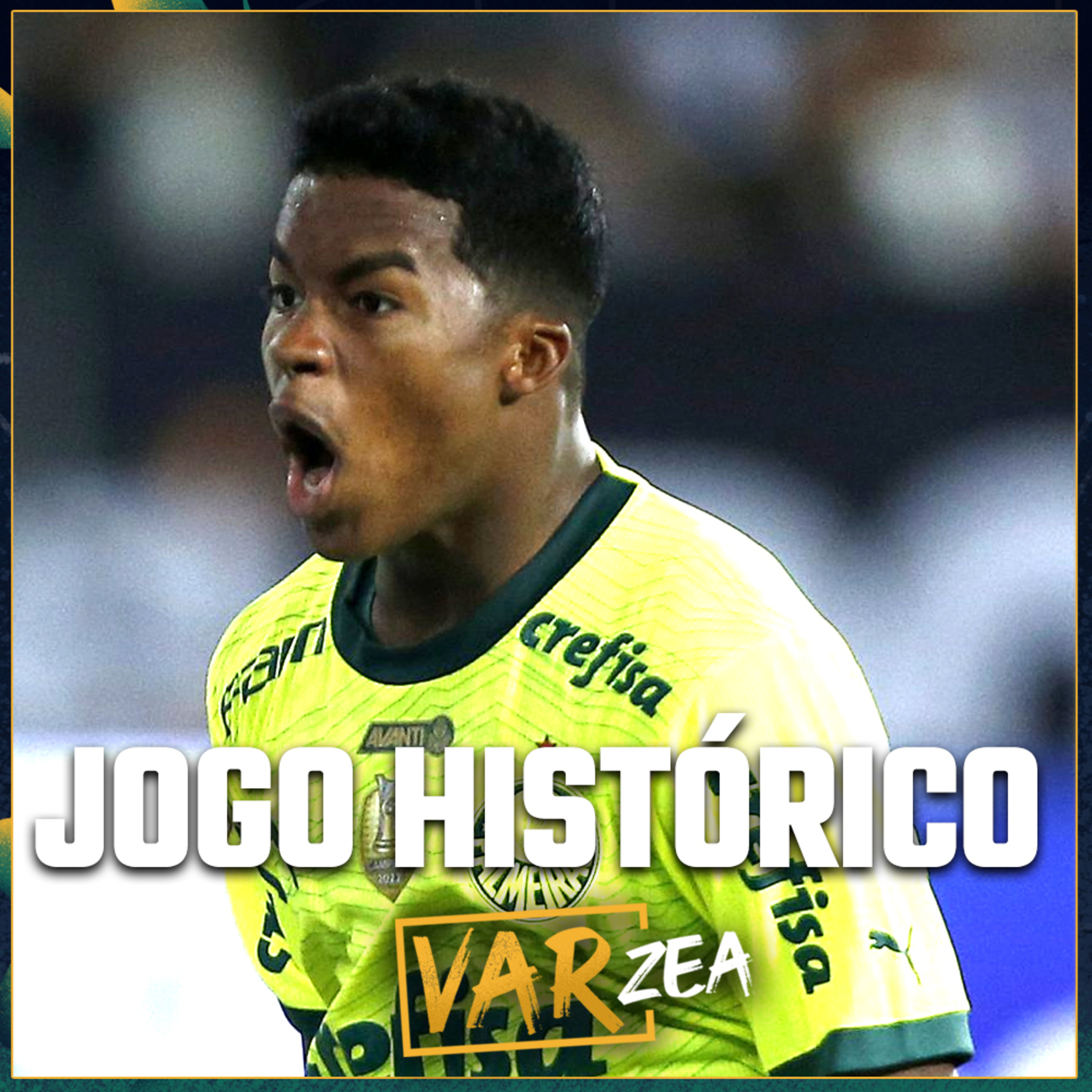 BOTAFOGO 3x4 PALMEIRAS, JOGO HISTÓRICO E SHOW DE ENDRICK - VARzea episode artwork