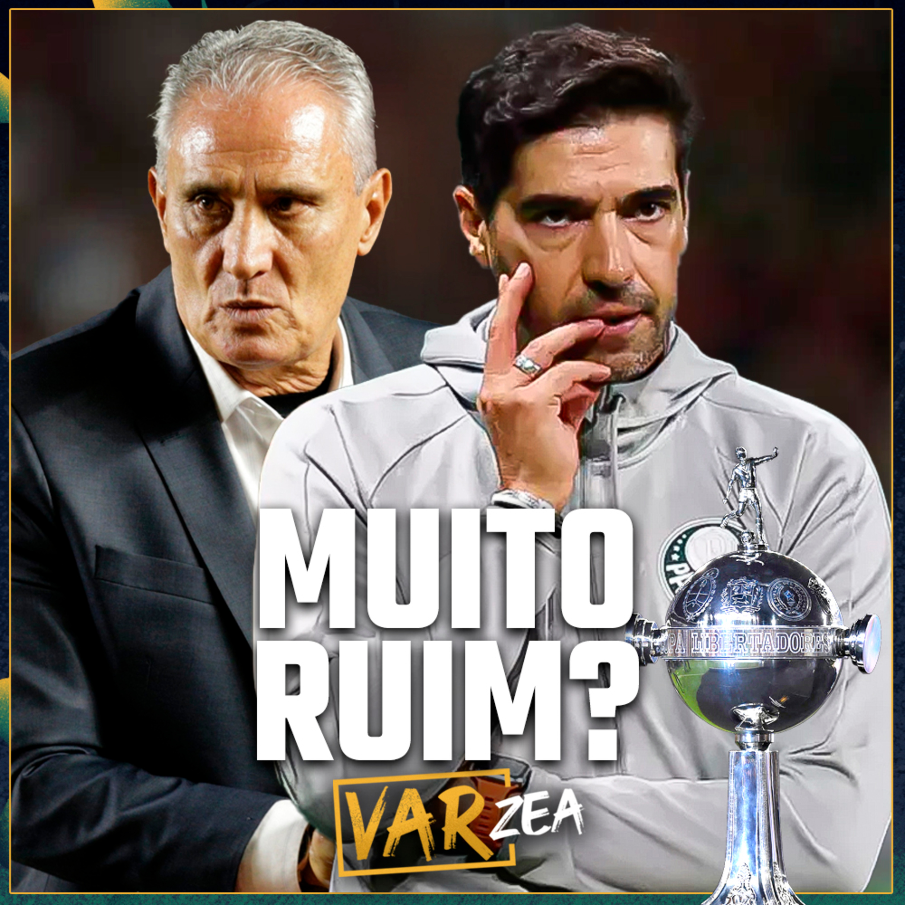 FLAMENGO SE COMPLICOU FOI MUITO RUIM BOTAFOGO x PALMEIRAS E A VOLTA DA LIBERTADORES - VARzea episode artwork