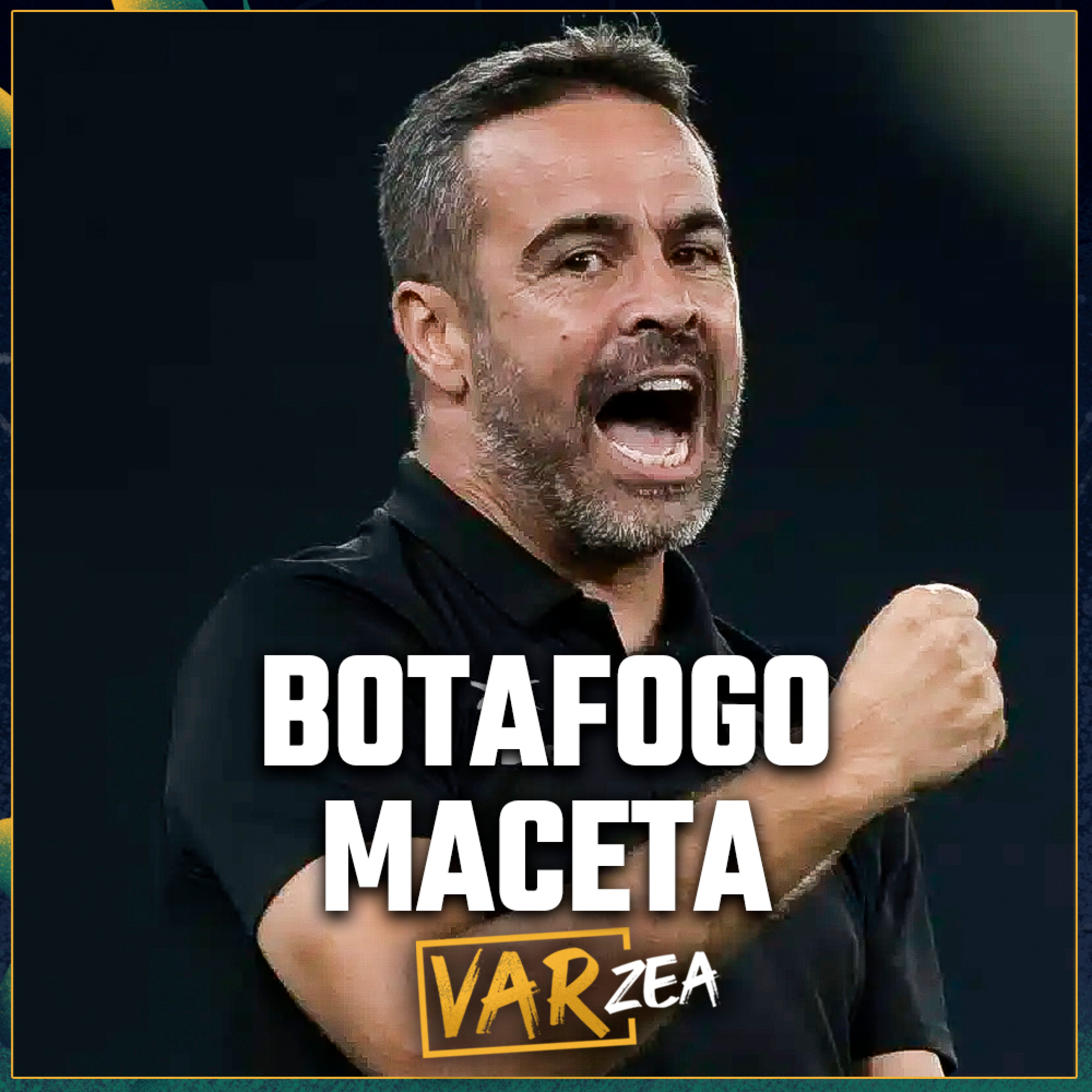 BOTAFOGO DESTRÓI PALMEIRAS E FICA MUITO PRÓXIMO DO TÍTULO - VARzea episode artwork