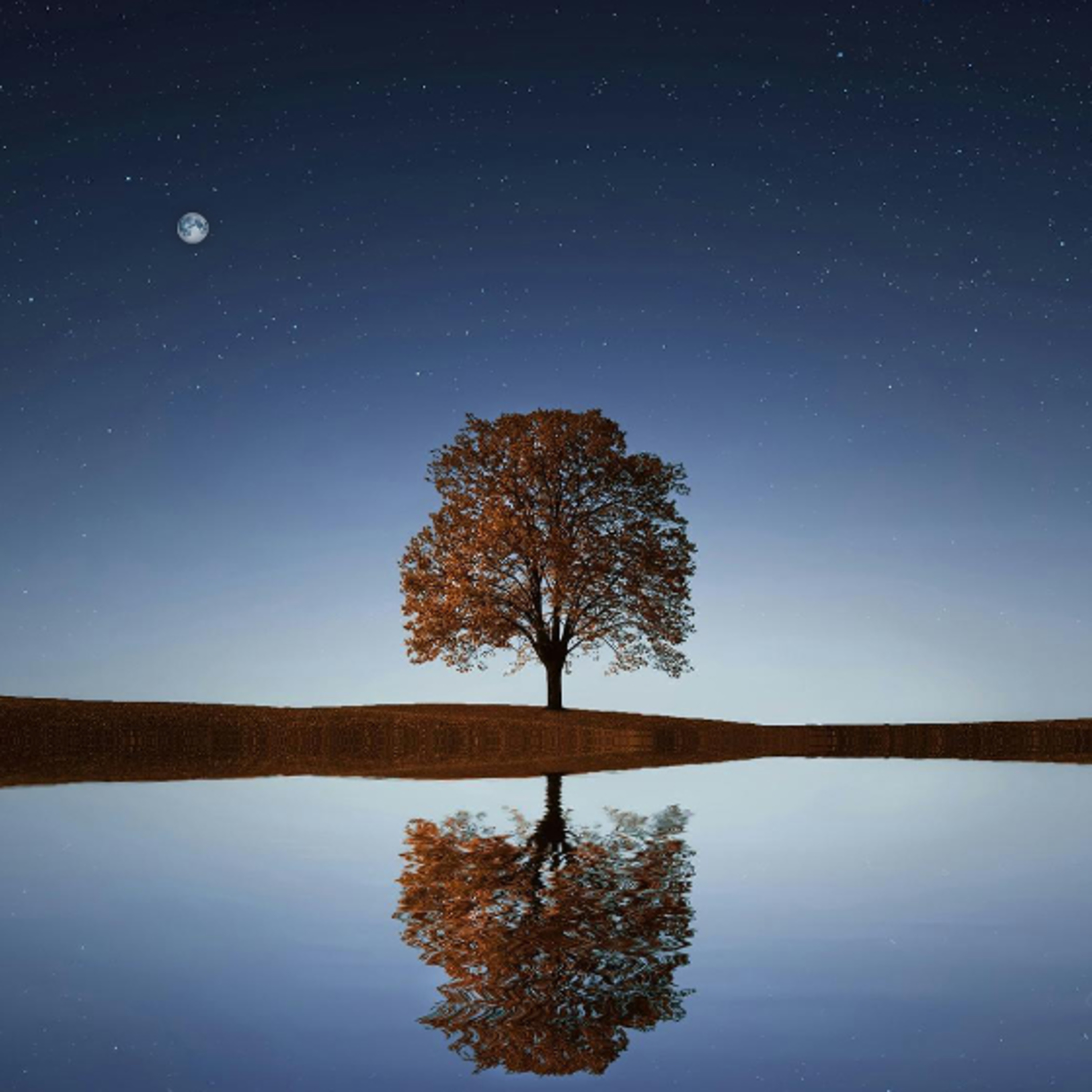 281 Discover Peace episode artwork