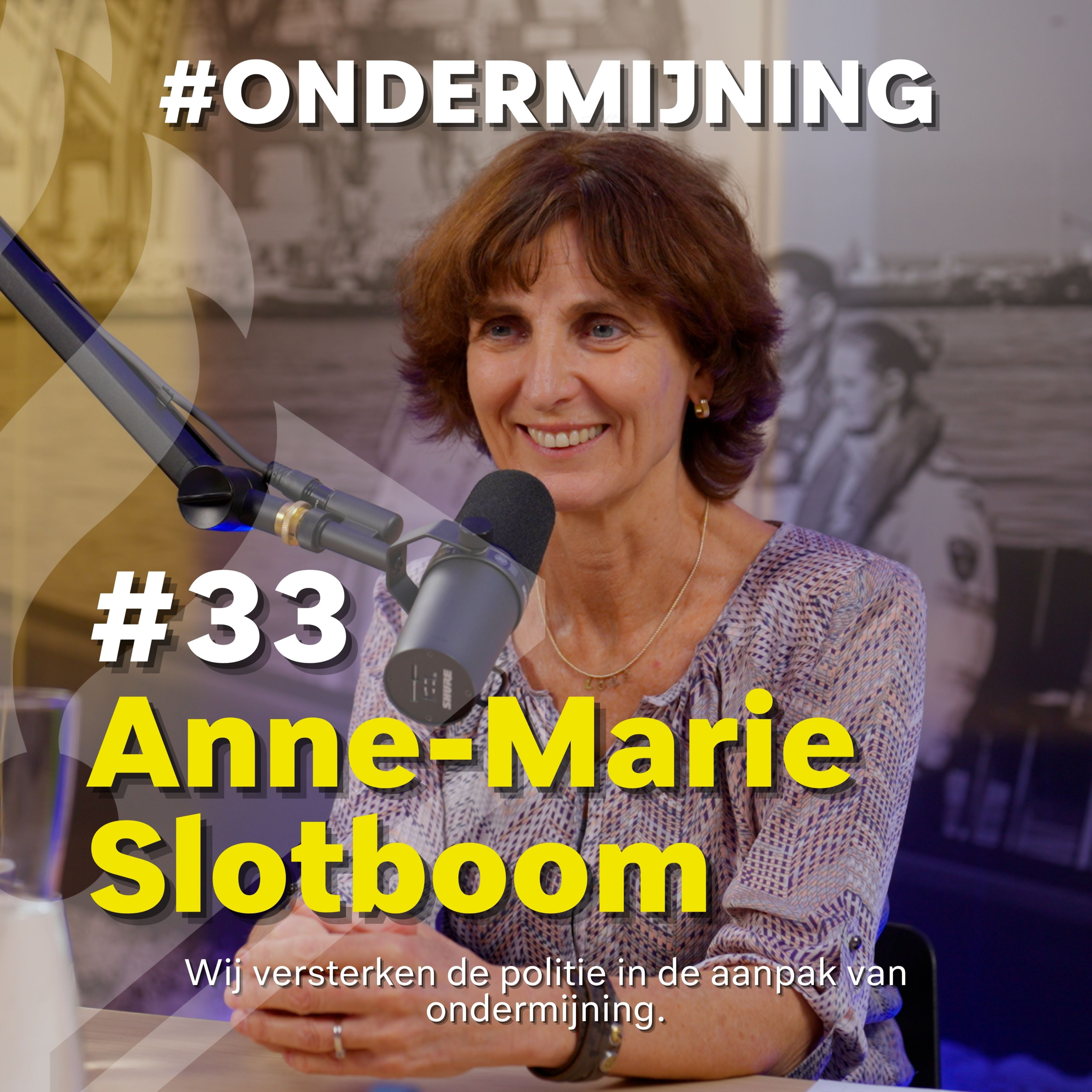 #33 Anne-Marie Slotboom - Over Vrouwen in de Criminaliteit