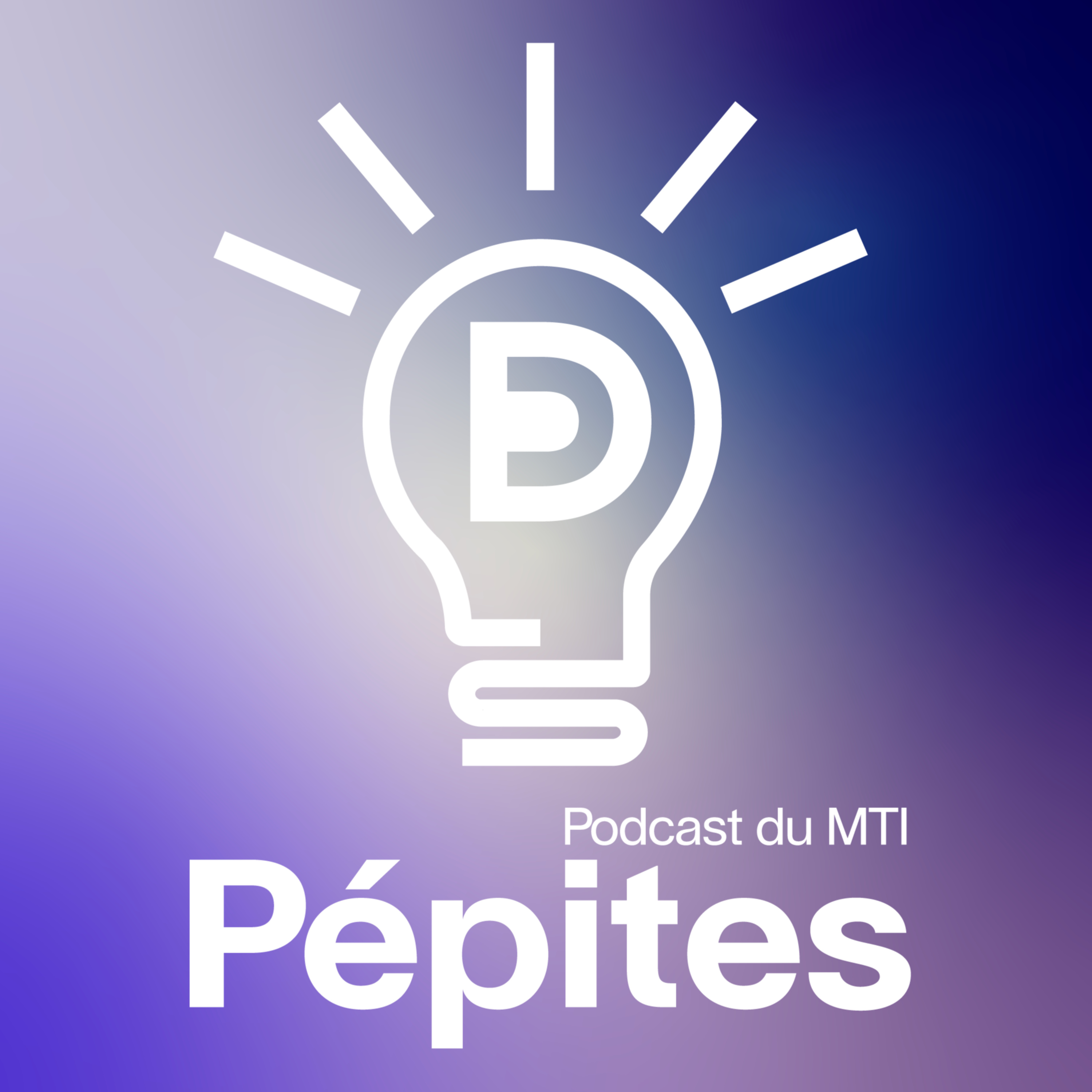 Hors-Série : LA VIE DANS LE MASTER MTI