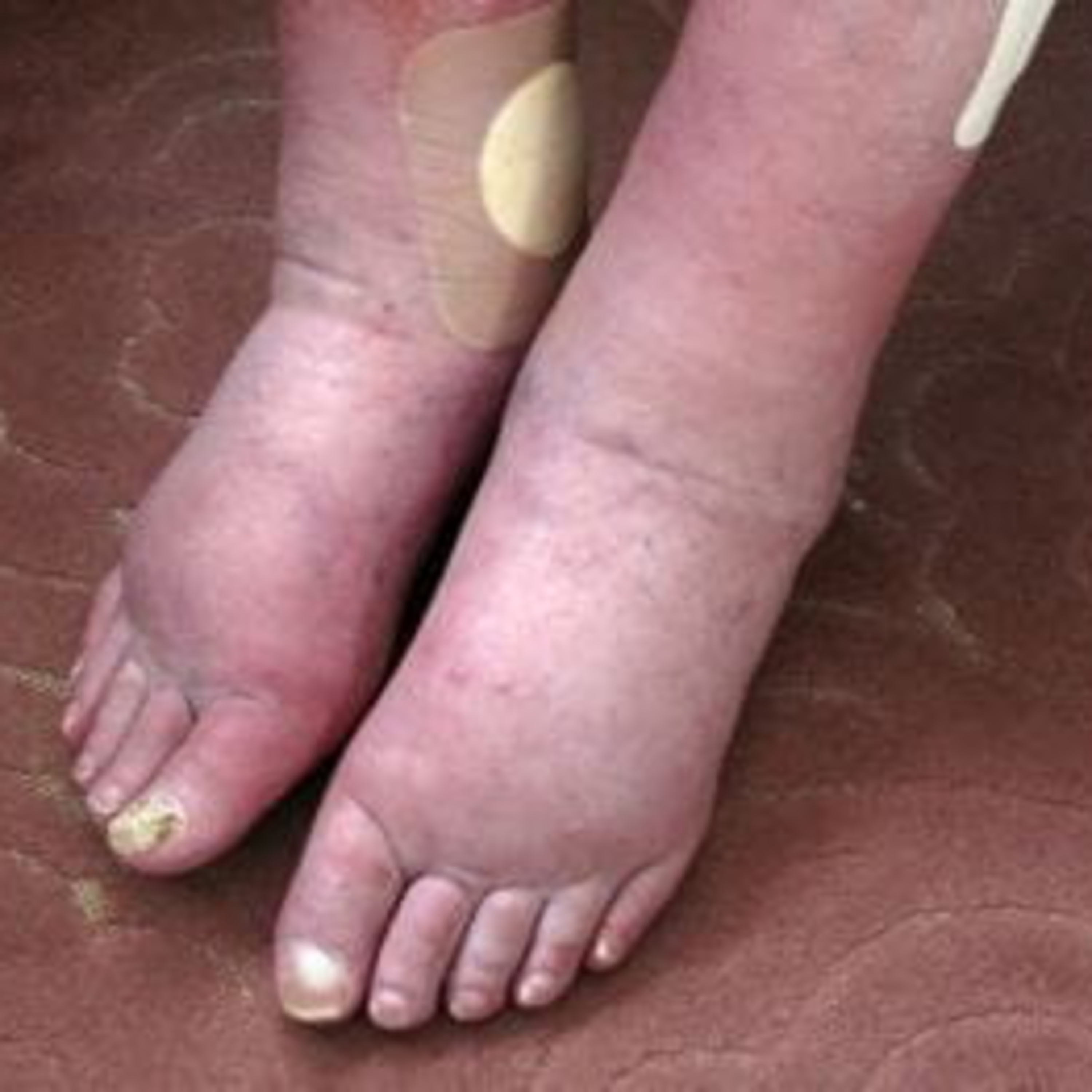 The Bend Racing Podcast