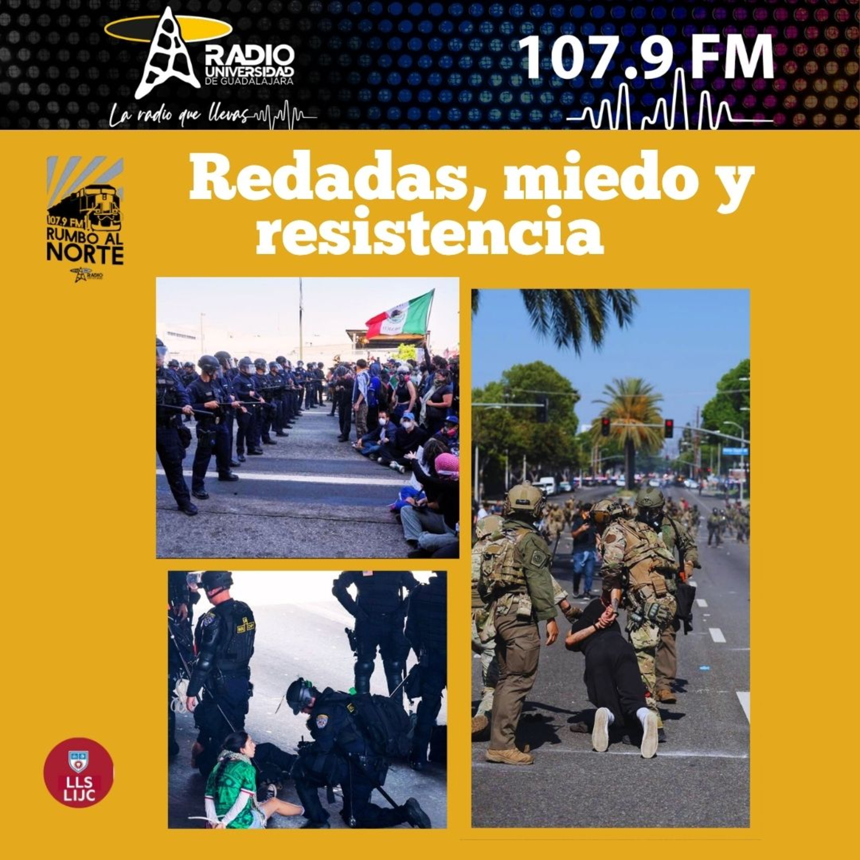 116. Redadas, miedo y resistencia en LA episode artwork