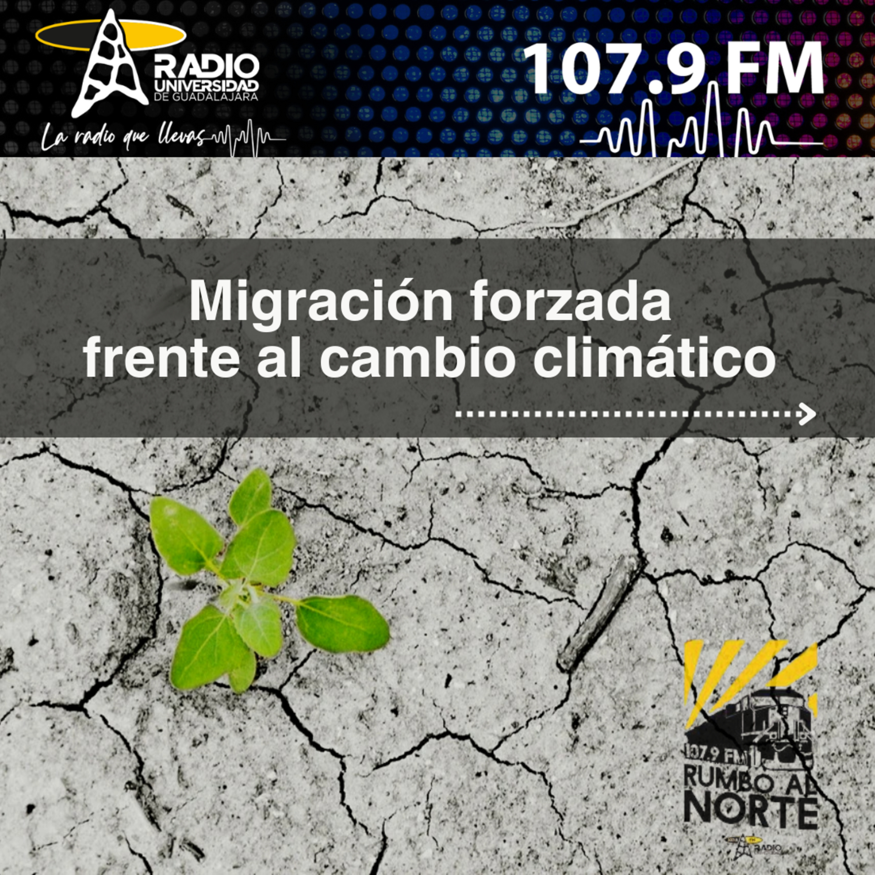133. Migración forzada por cambio climático episode artwork