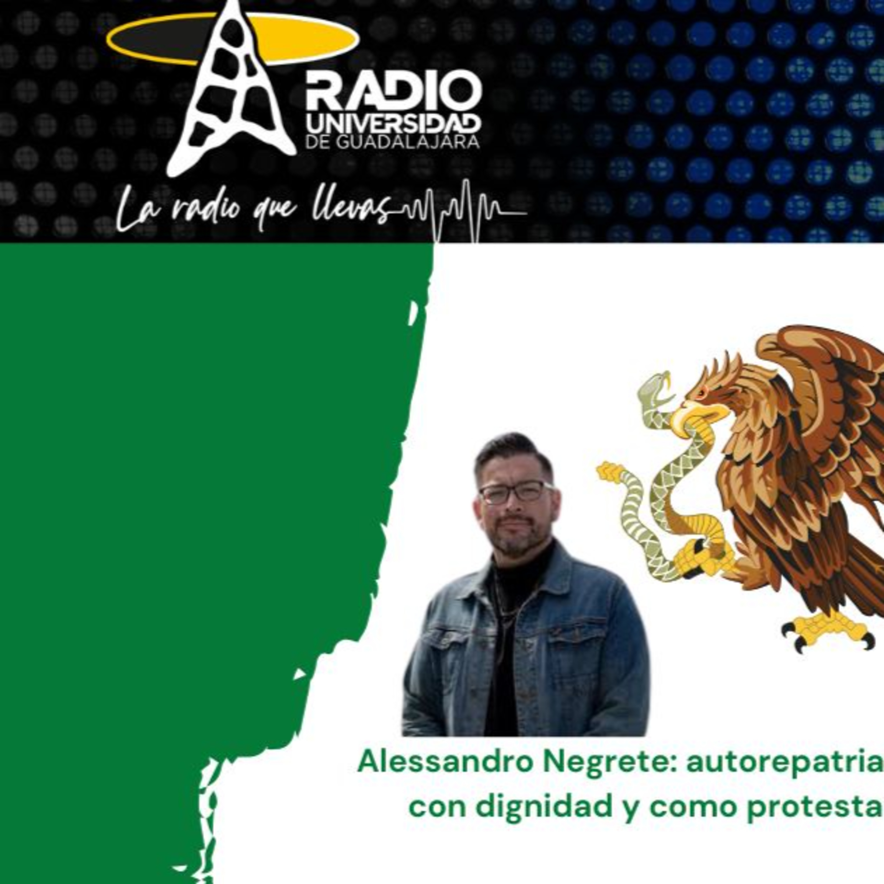 148.- Volver también es una forma de migrar episode artwork