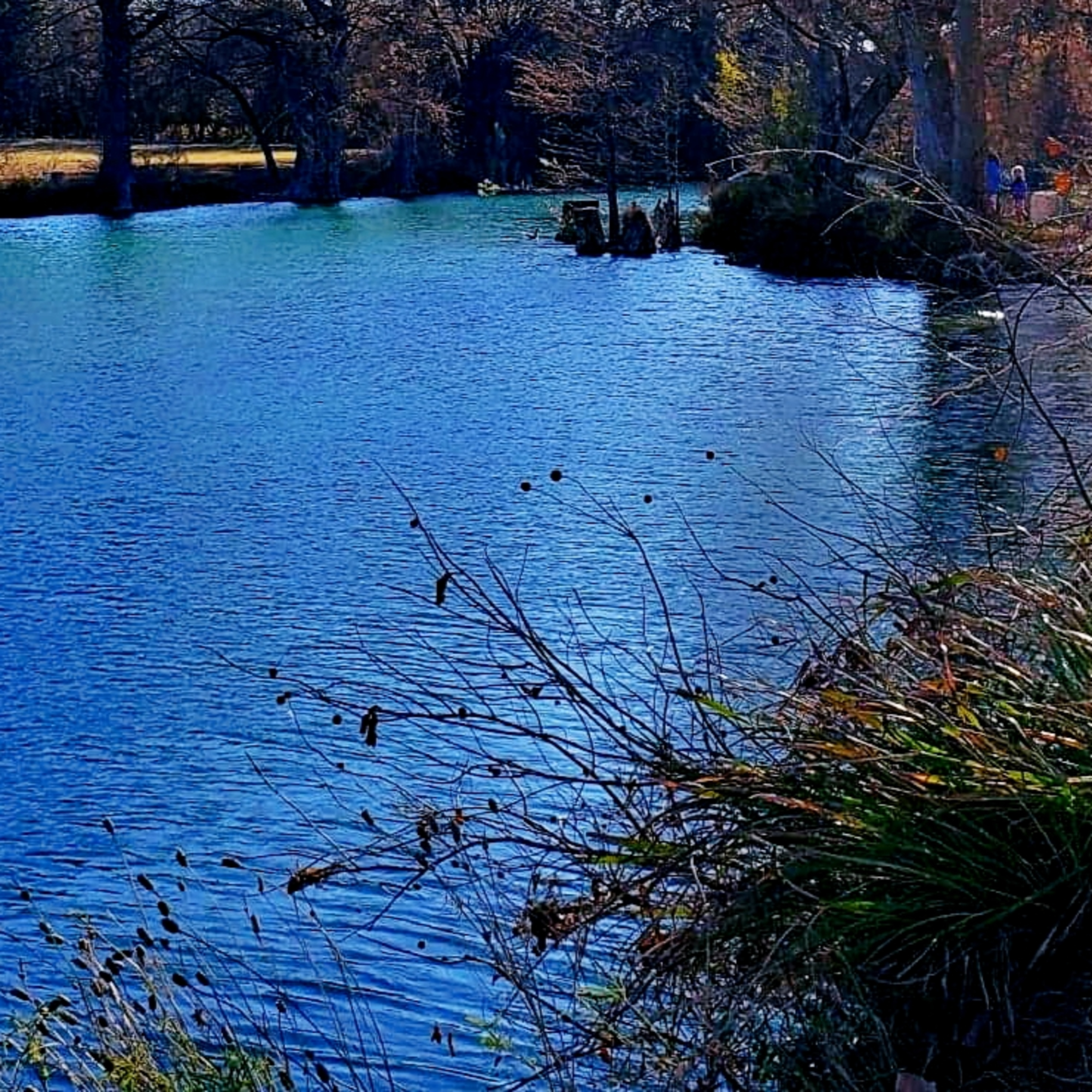 Podcasts by The Bandera Prophet