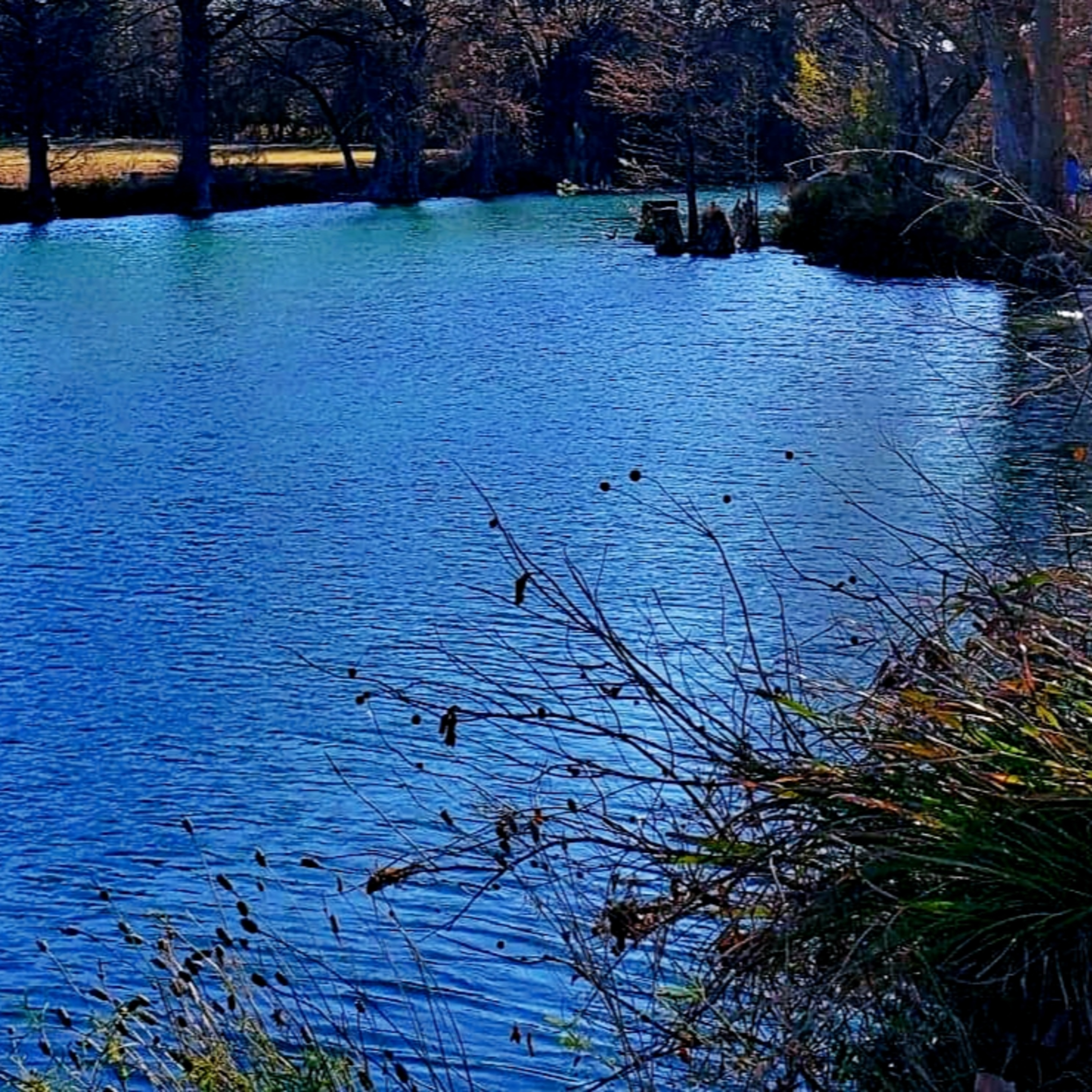 Podcasts by The Bandera Prophet