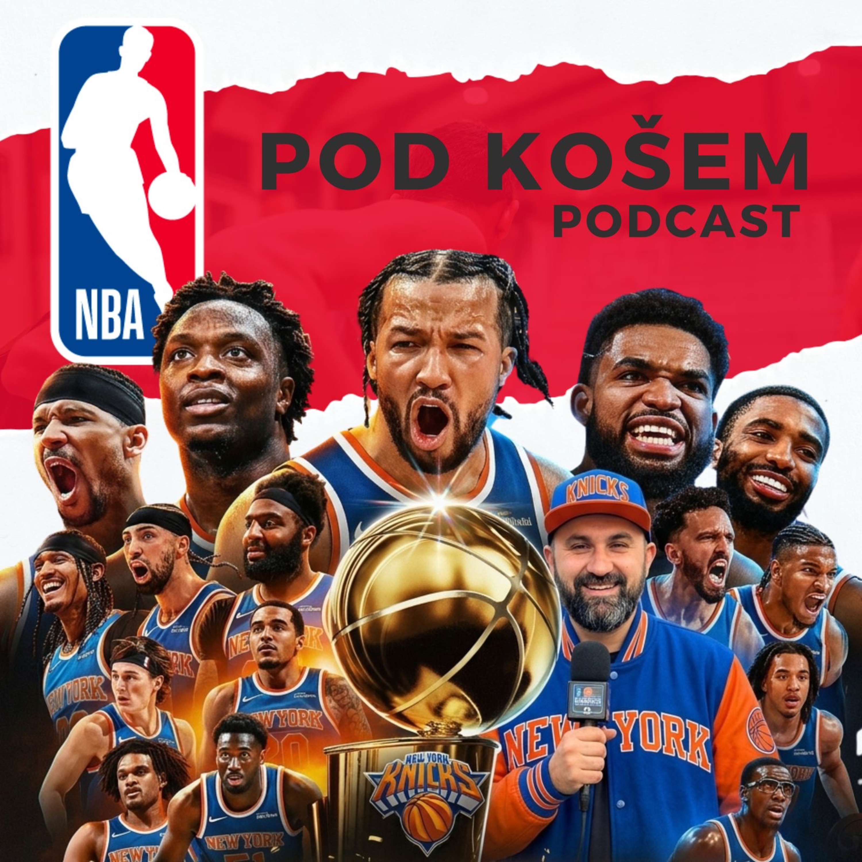 New York Knicks vyhráli NBA! (TVL!!) episode artwork