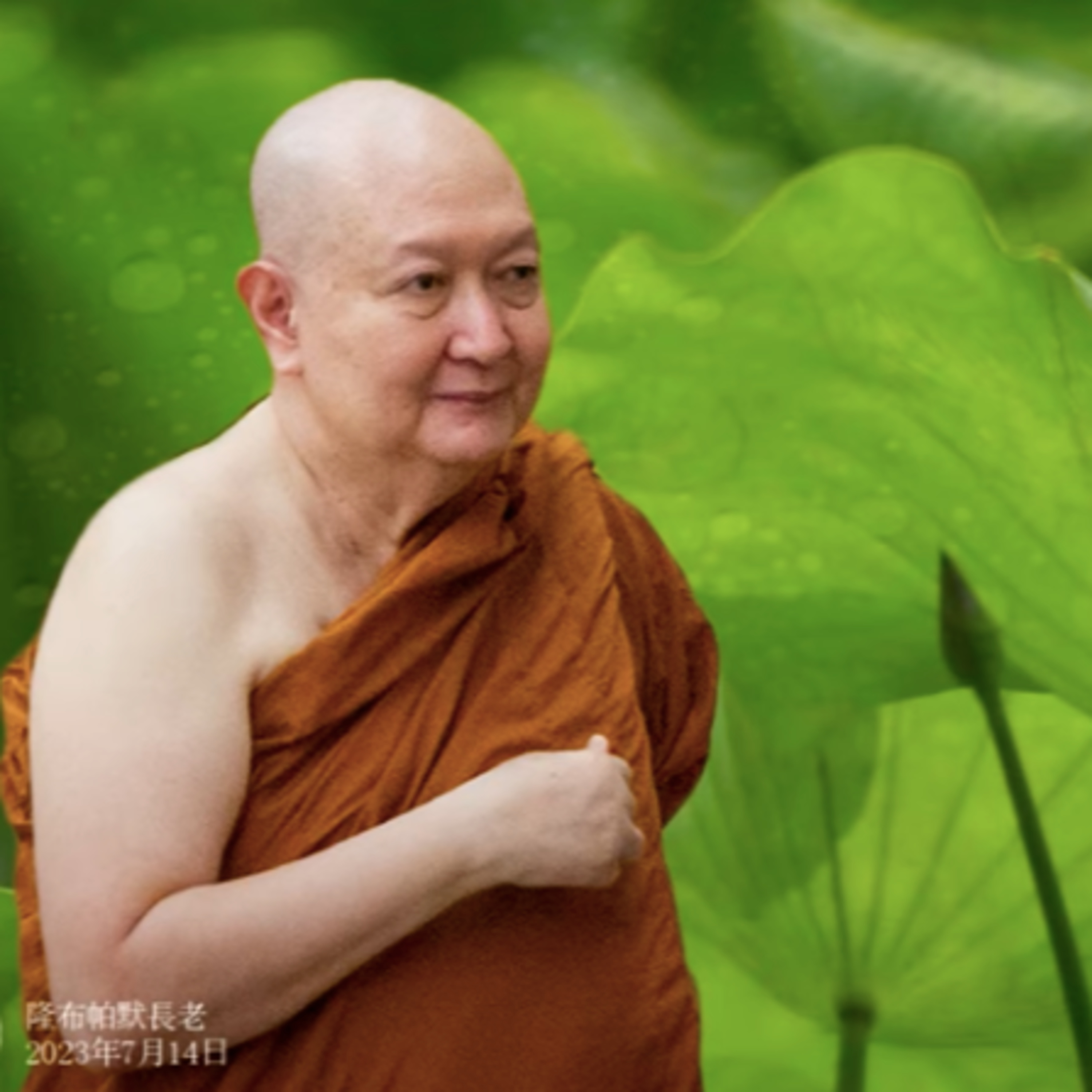 智慧源於洞見，而非思維｜隆波帕默尊者｜2022.07.16 episode artwork