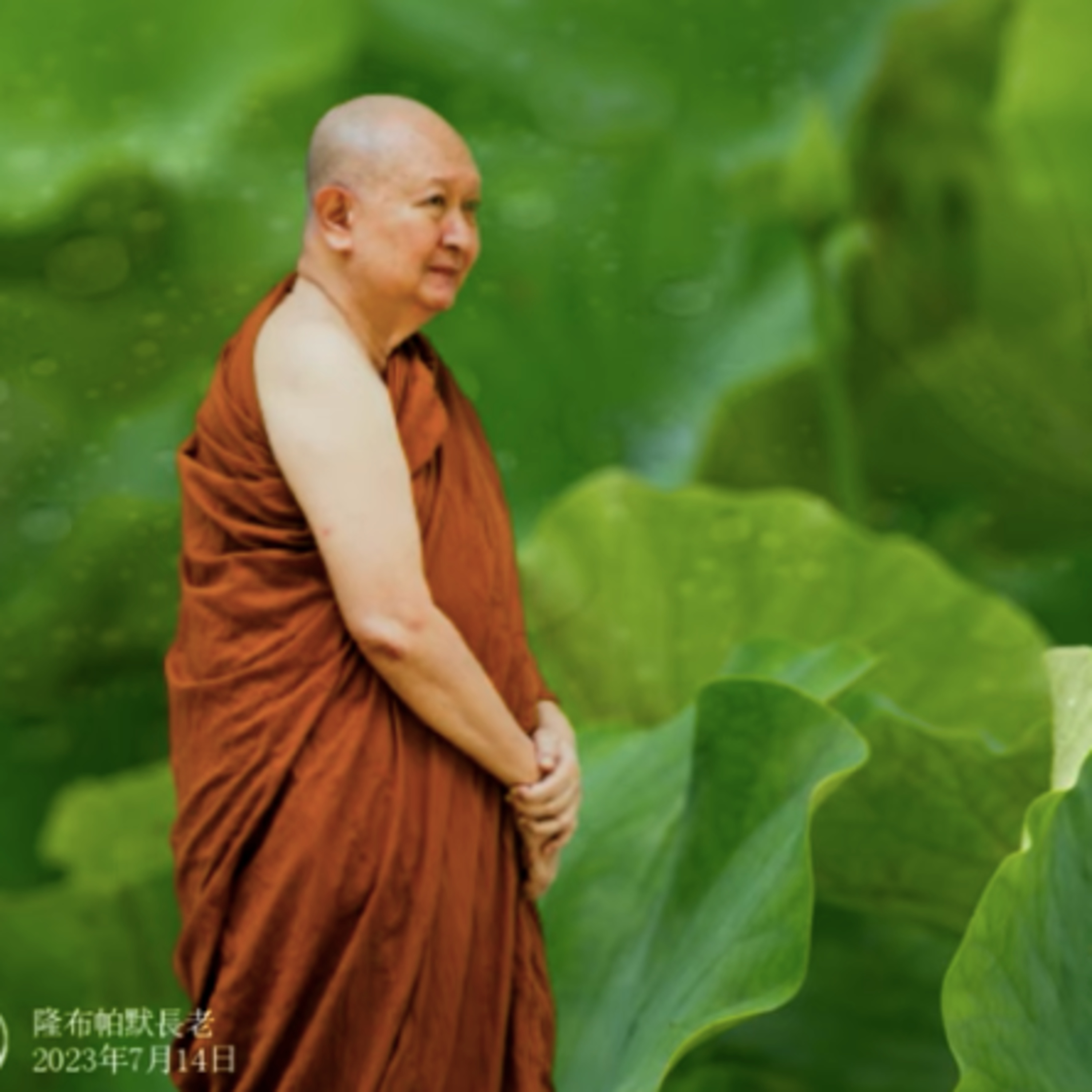  境界的「特相」與「共相」｜隆波帕默尊者｜2022.10.02 episode artwork