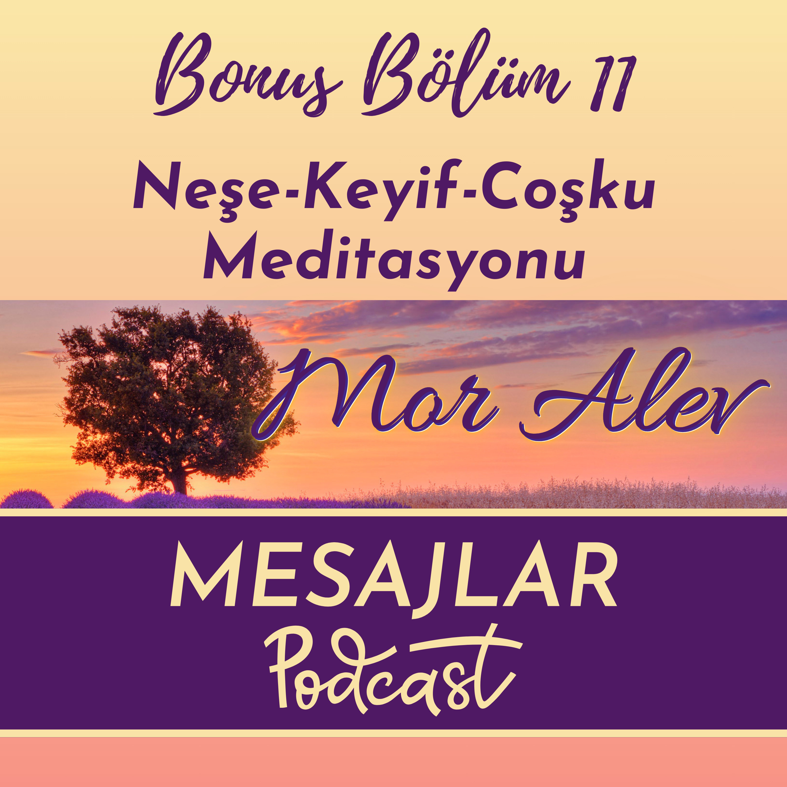 Mor Alev MESAJLAR