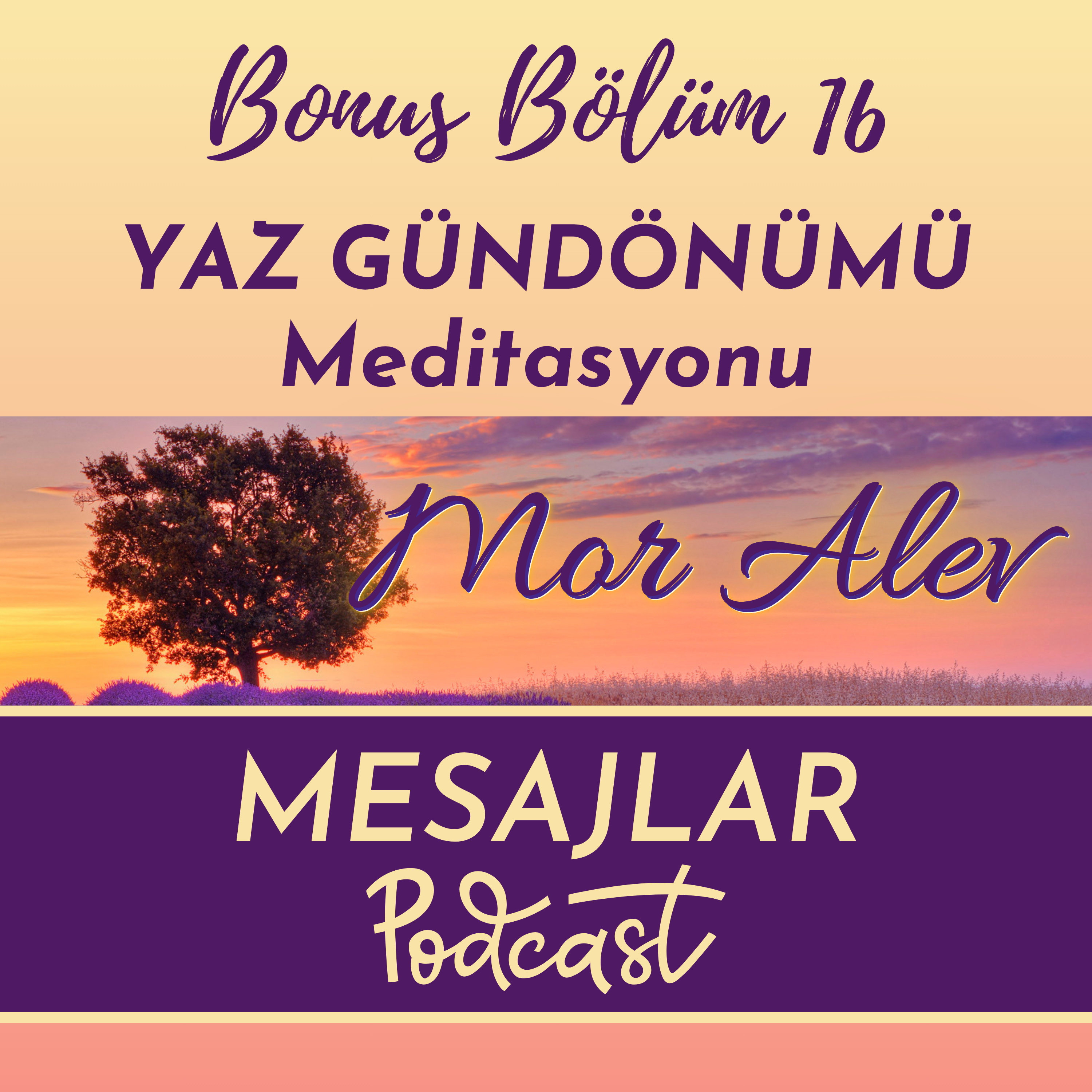 Bonus 16: Yaz Gündönümü Meditasyonu episode artwork