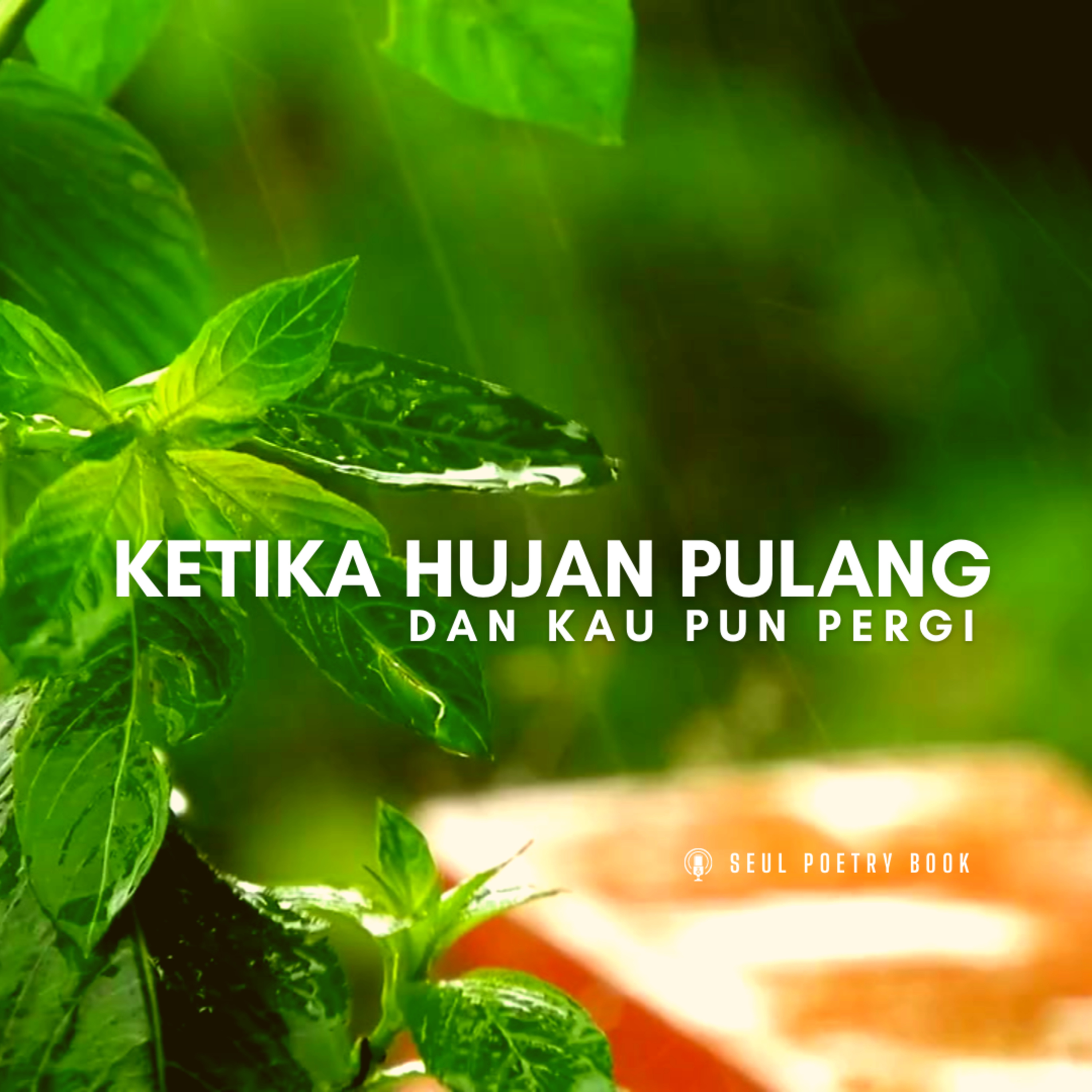 Ketika Hujan Pulang, Dan Kau Pun Pergi - Seul Poetry Book episode artwork