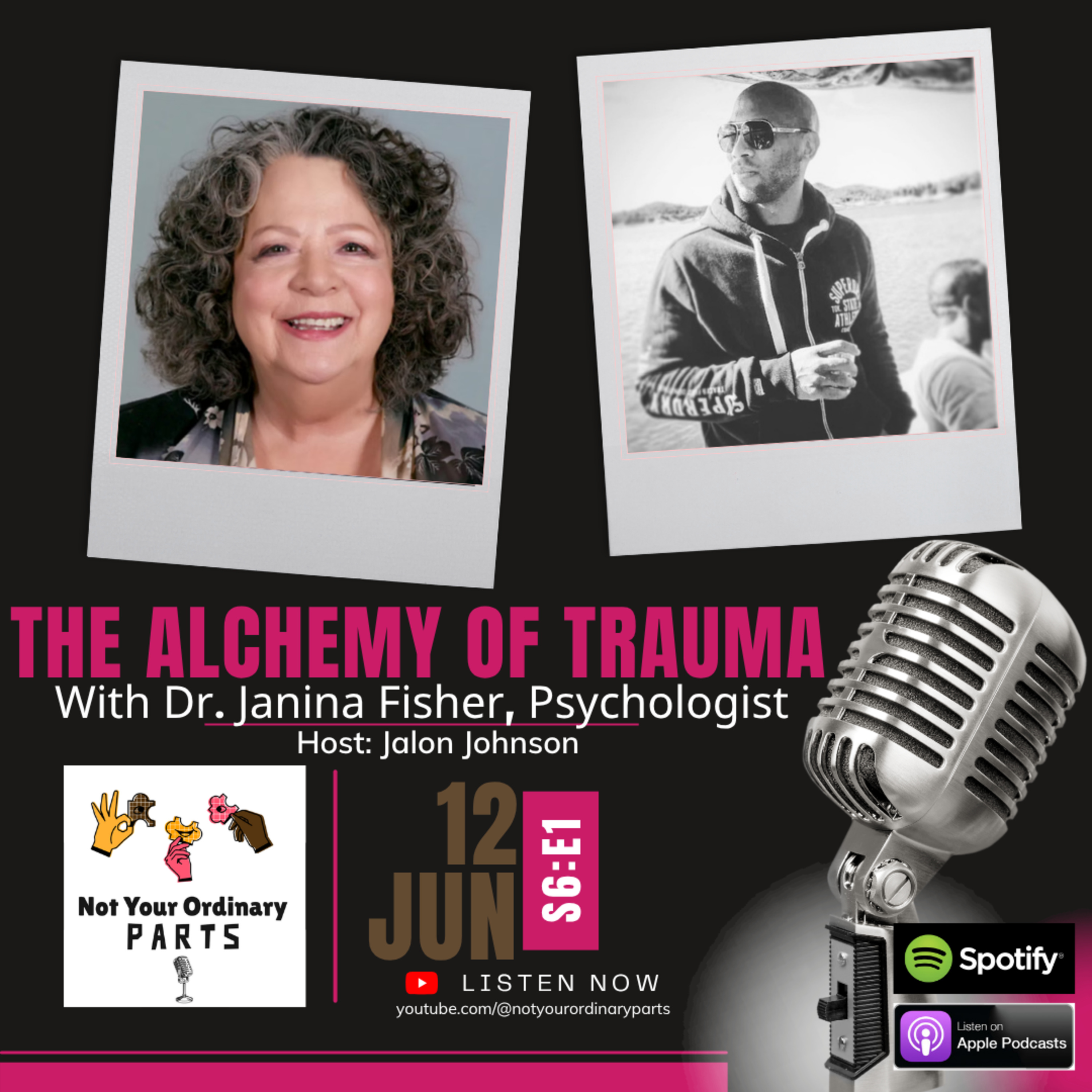 S6 Episode 1: The Alchemy of Trauma with Dr. Janina Fisher, Psychologist episode artwork