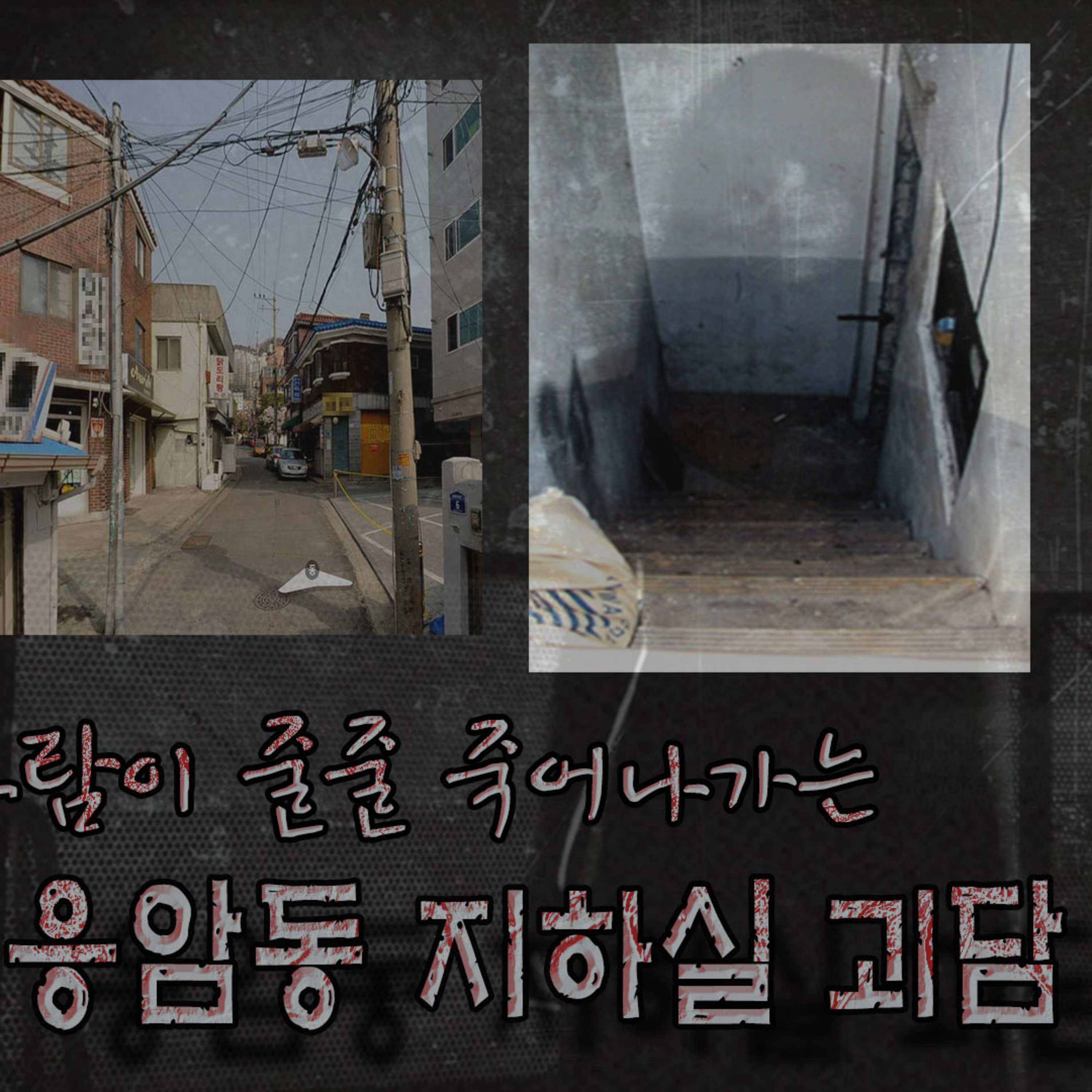 세입자들의 의문의 죽음들. 응암동 지하실 괴담│케이짱의 공포라디오│